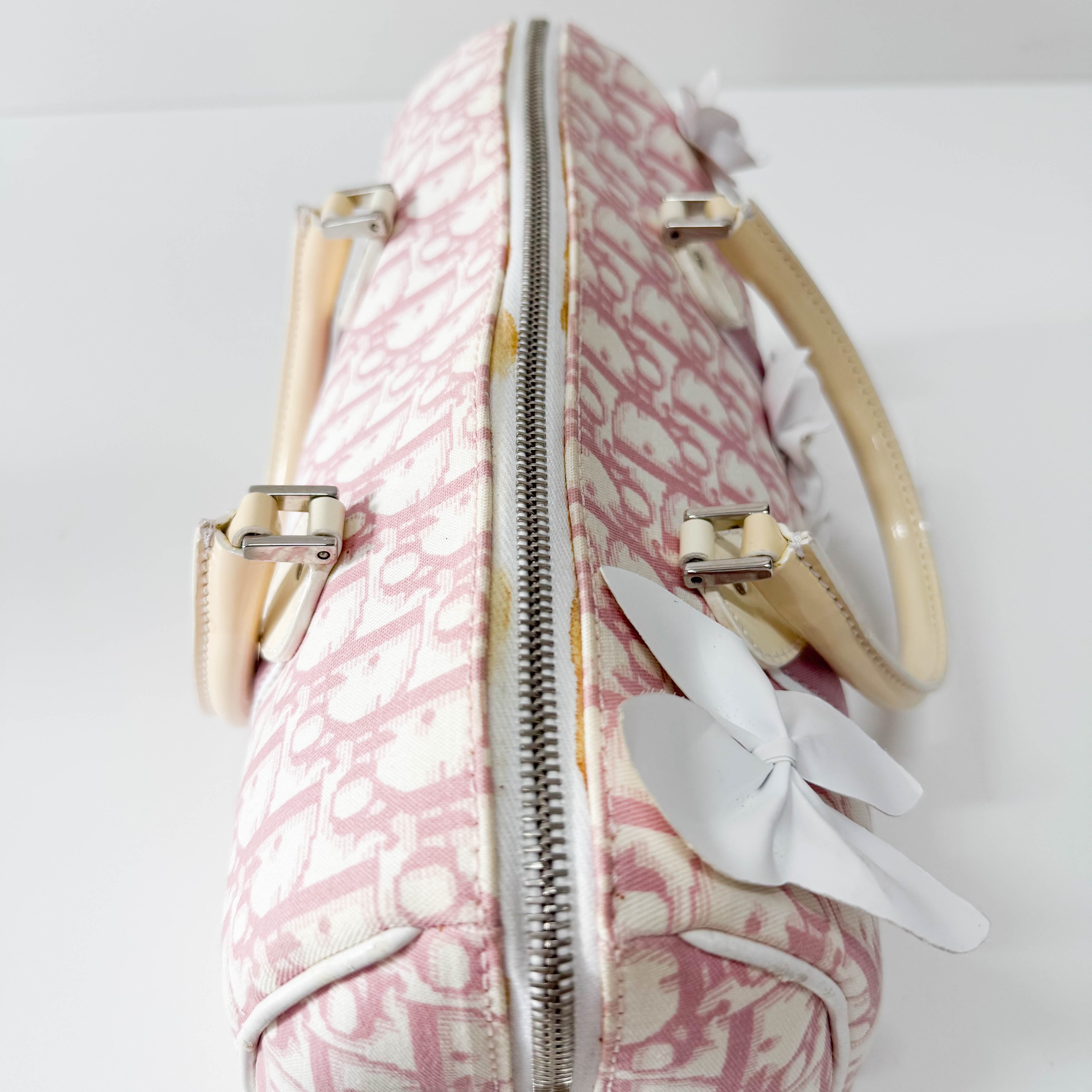 Boston Trotter Small Pink Canvas Handbag