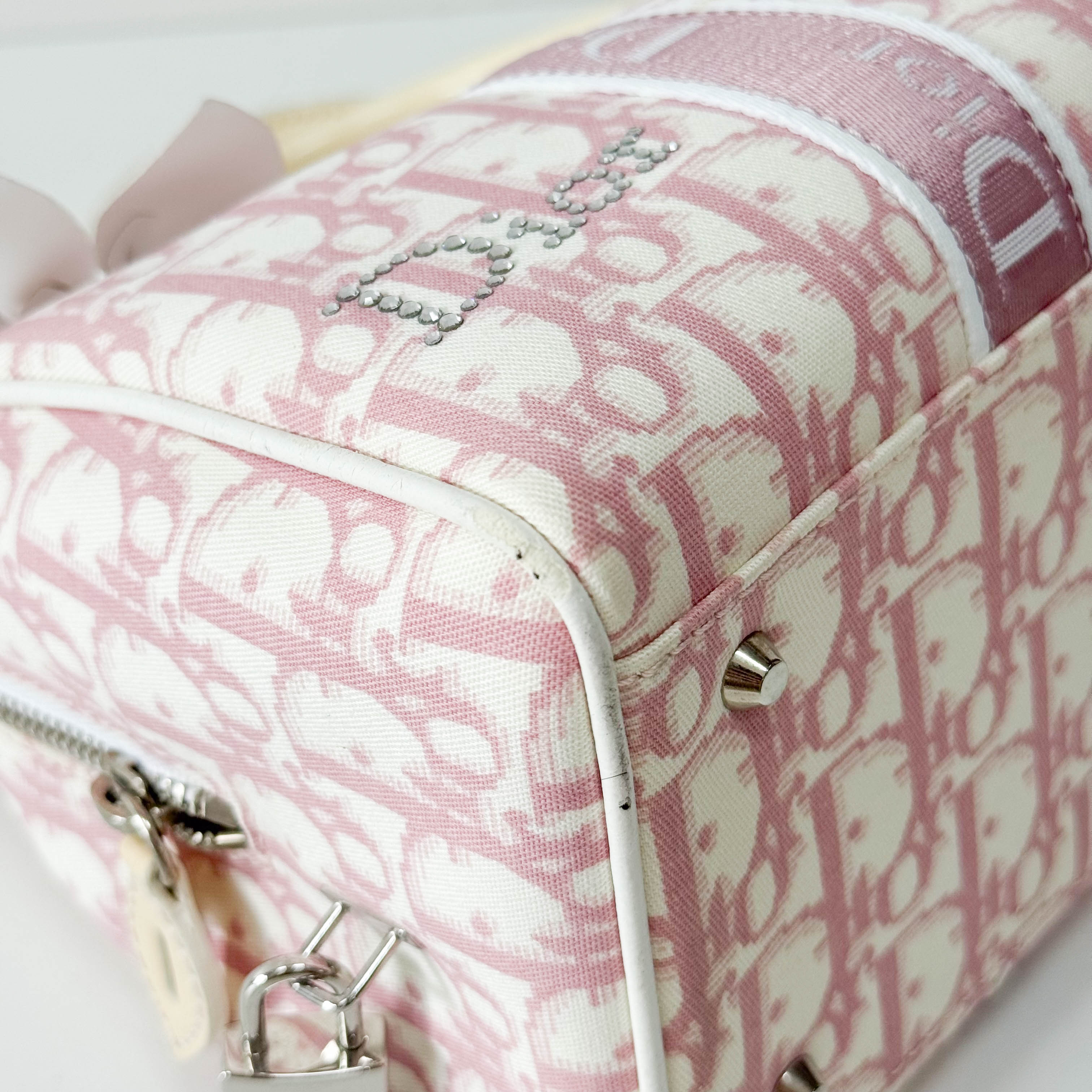 Boston Trotter Small Pink Canvas Handbag