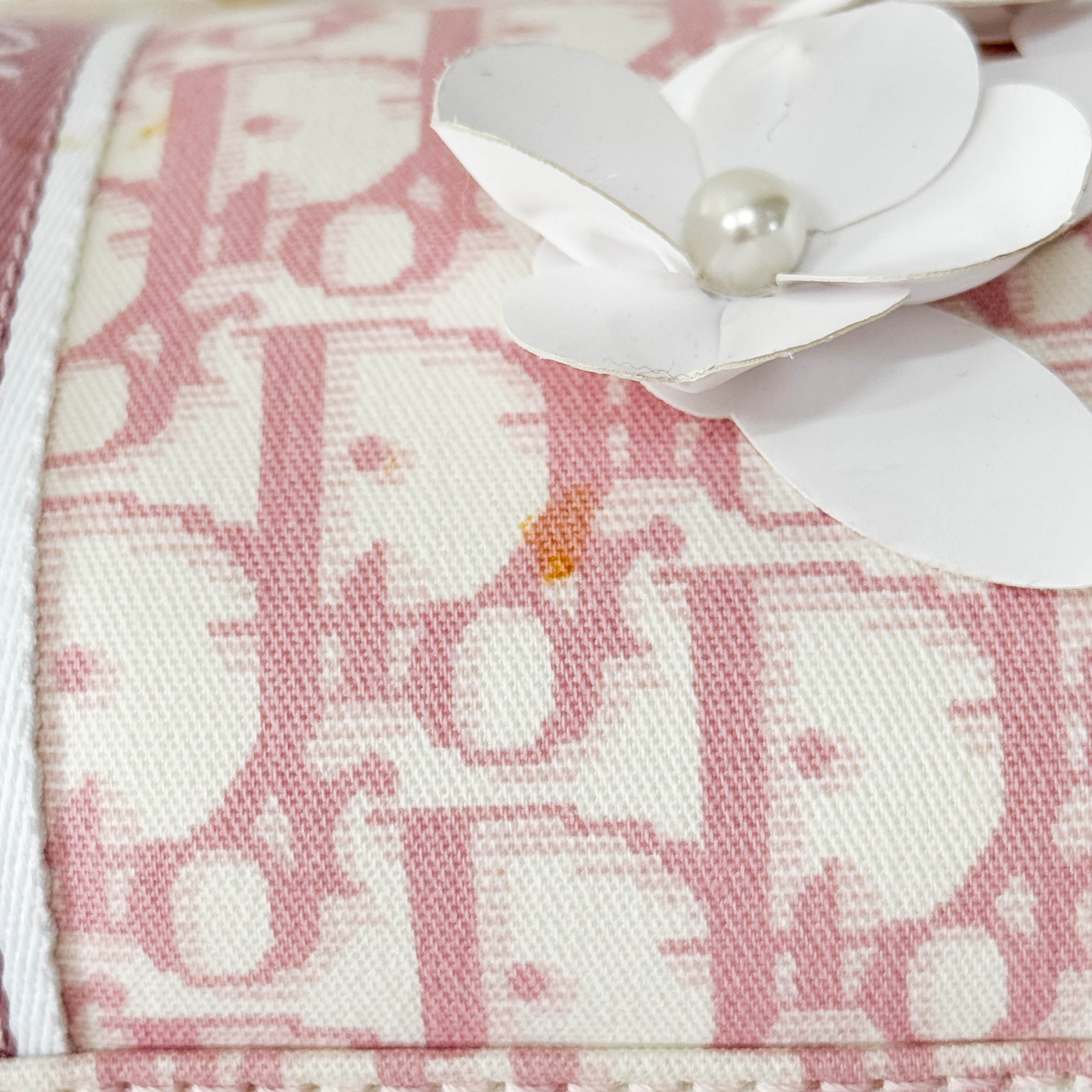 Boston Trotter Small Pink Canvas Handbag