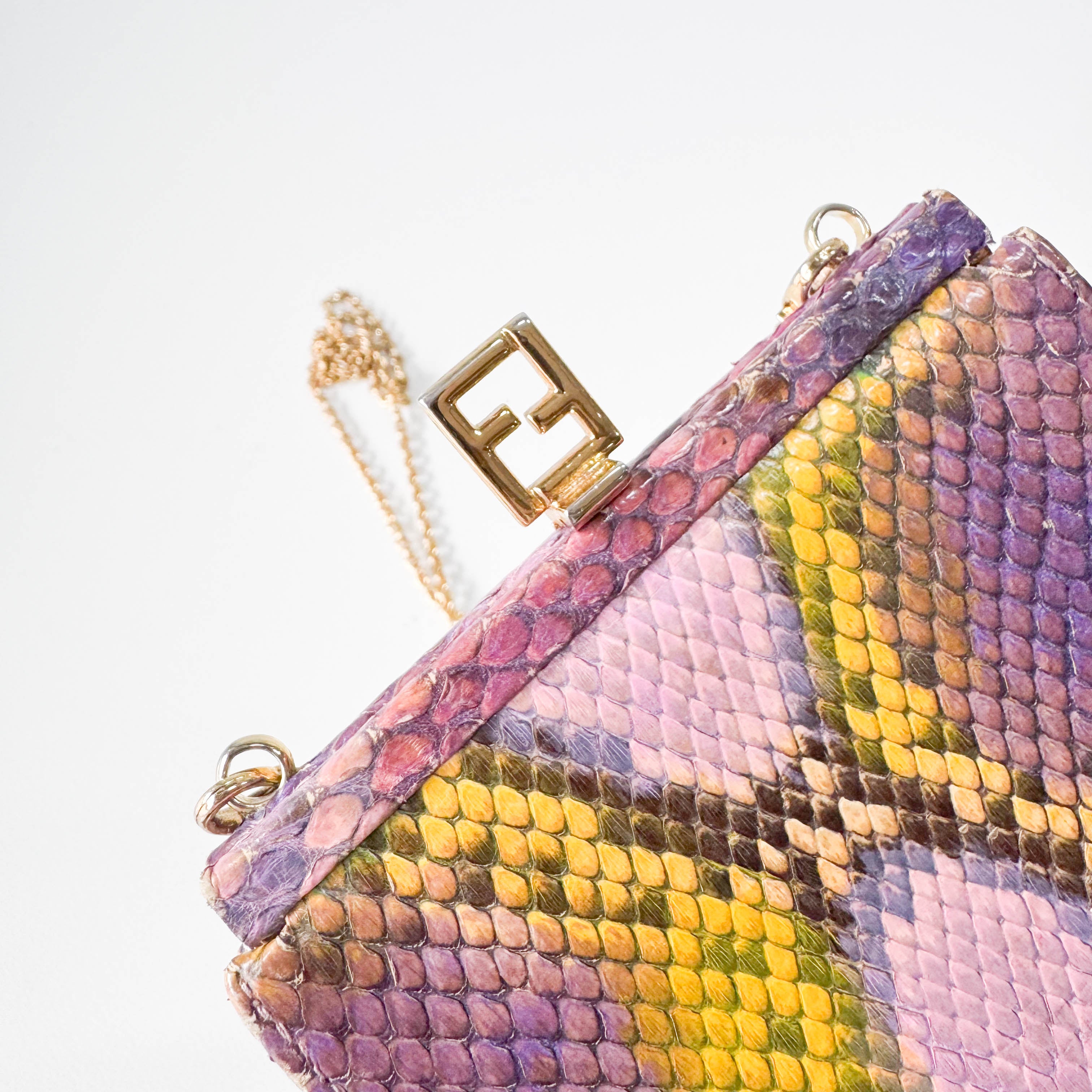 Multi-color Phyton Coin Case with Chain Strap