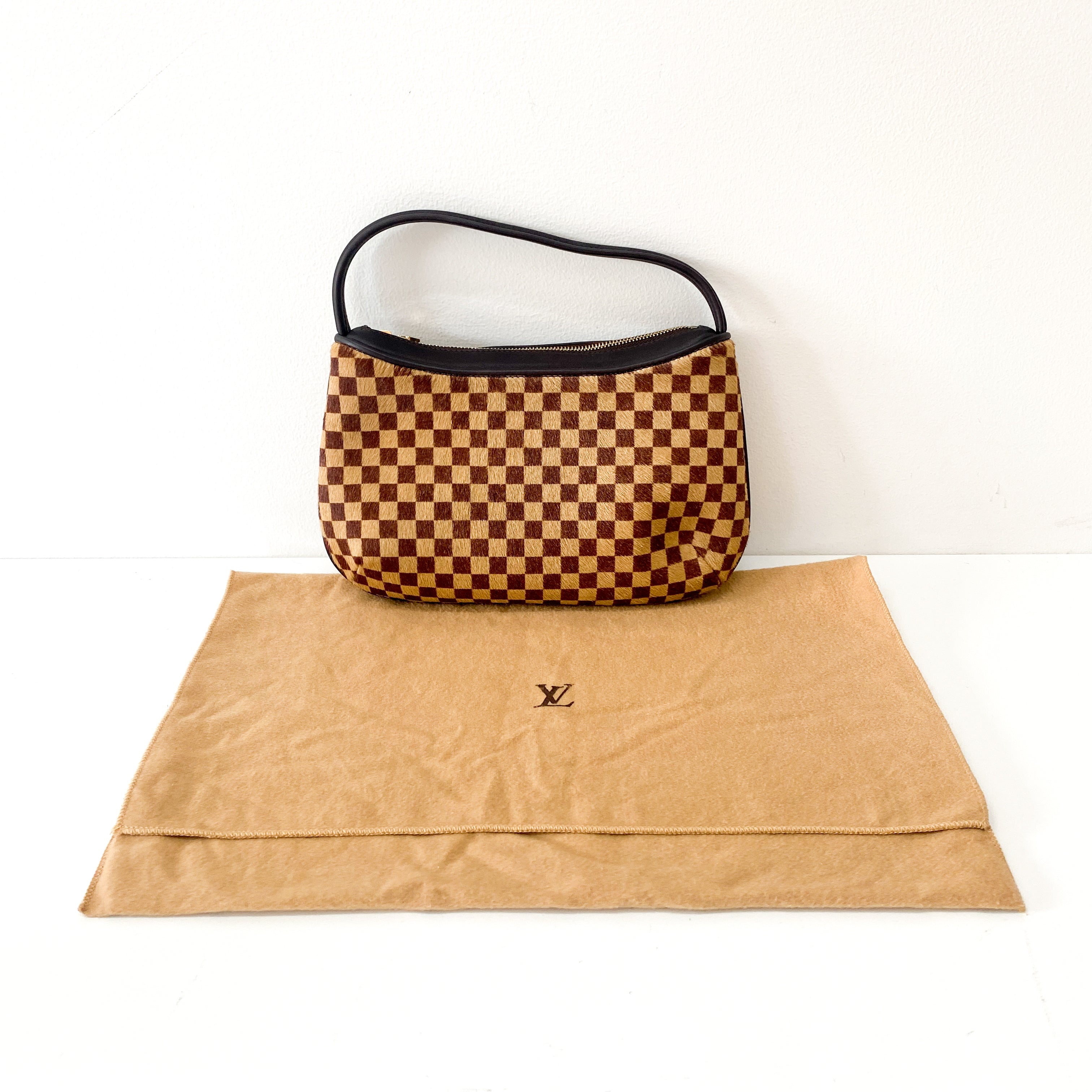 Brown Damier Pony Hair Handbag