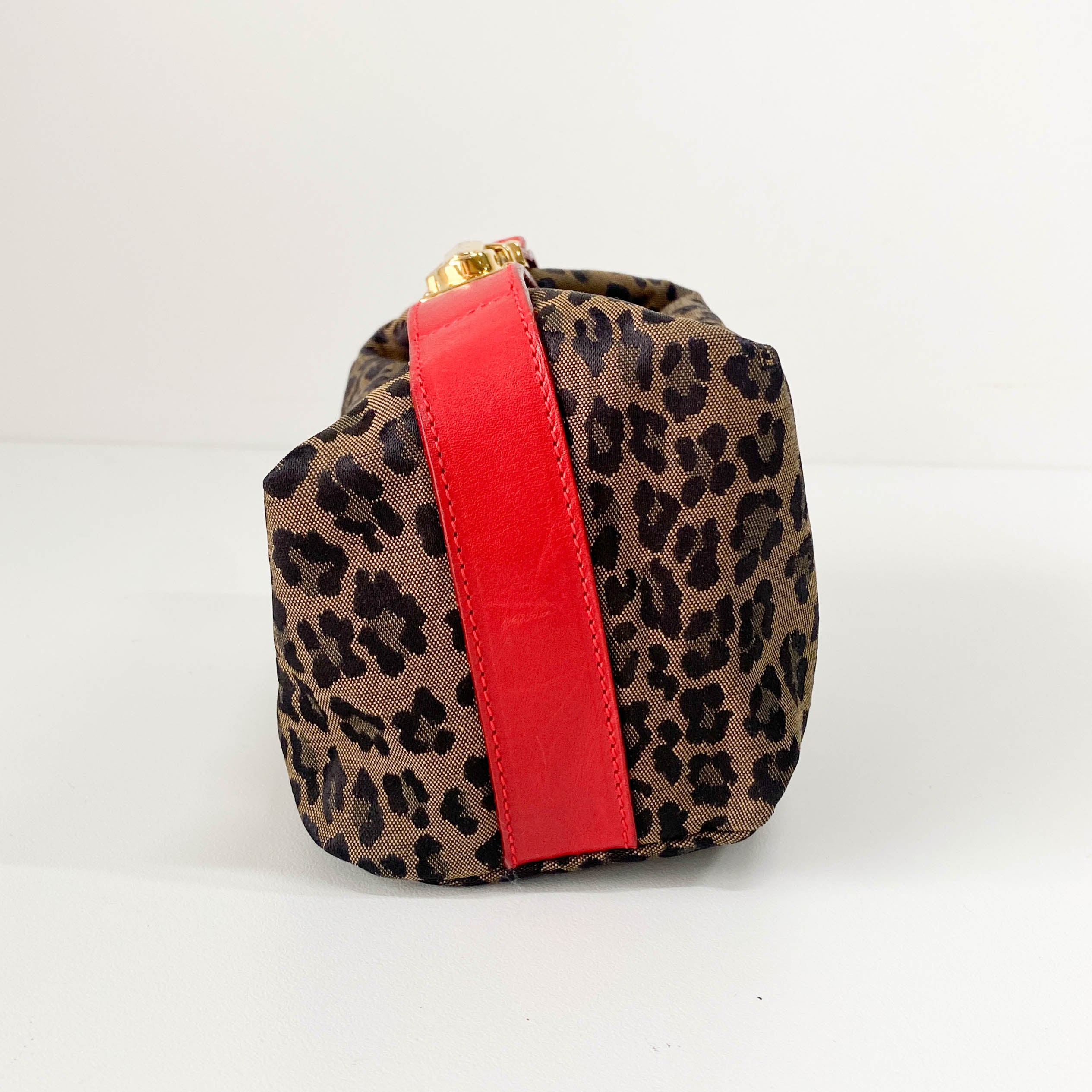 Mini Leopard Print Canvas Pouch Bag