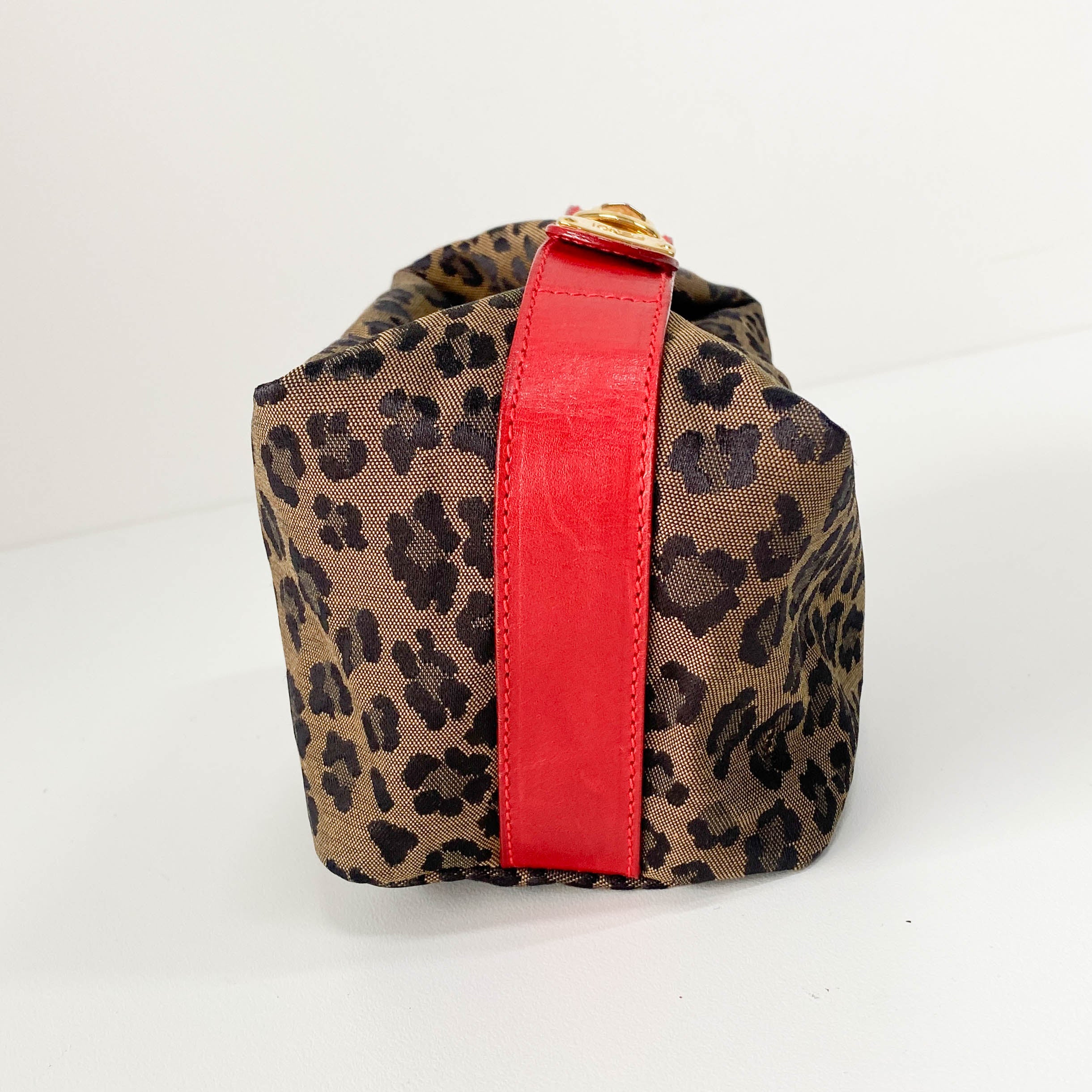 Mini Leopard Print Canvas Pouch Bag