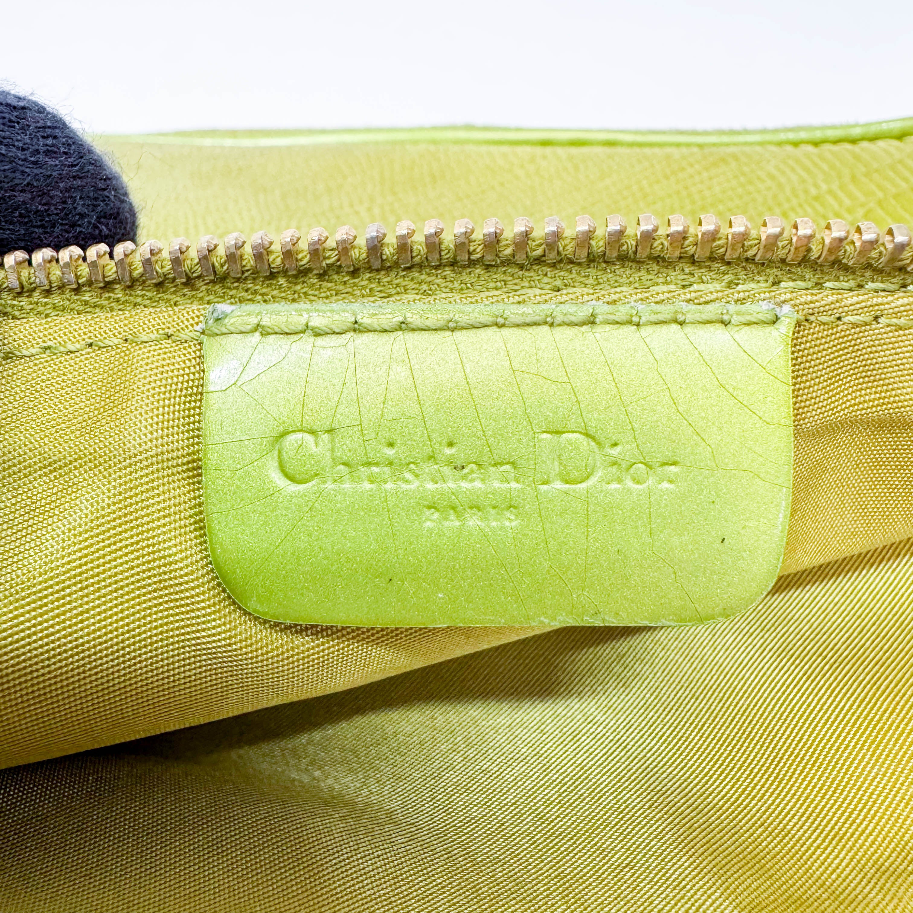 Saddle Mini Green Lizard Leather Shoulder Bag