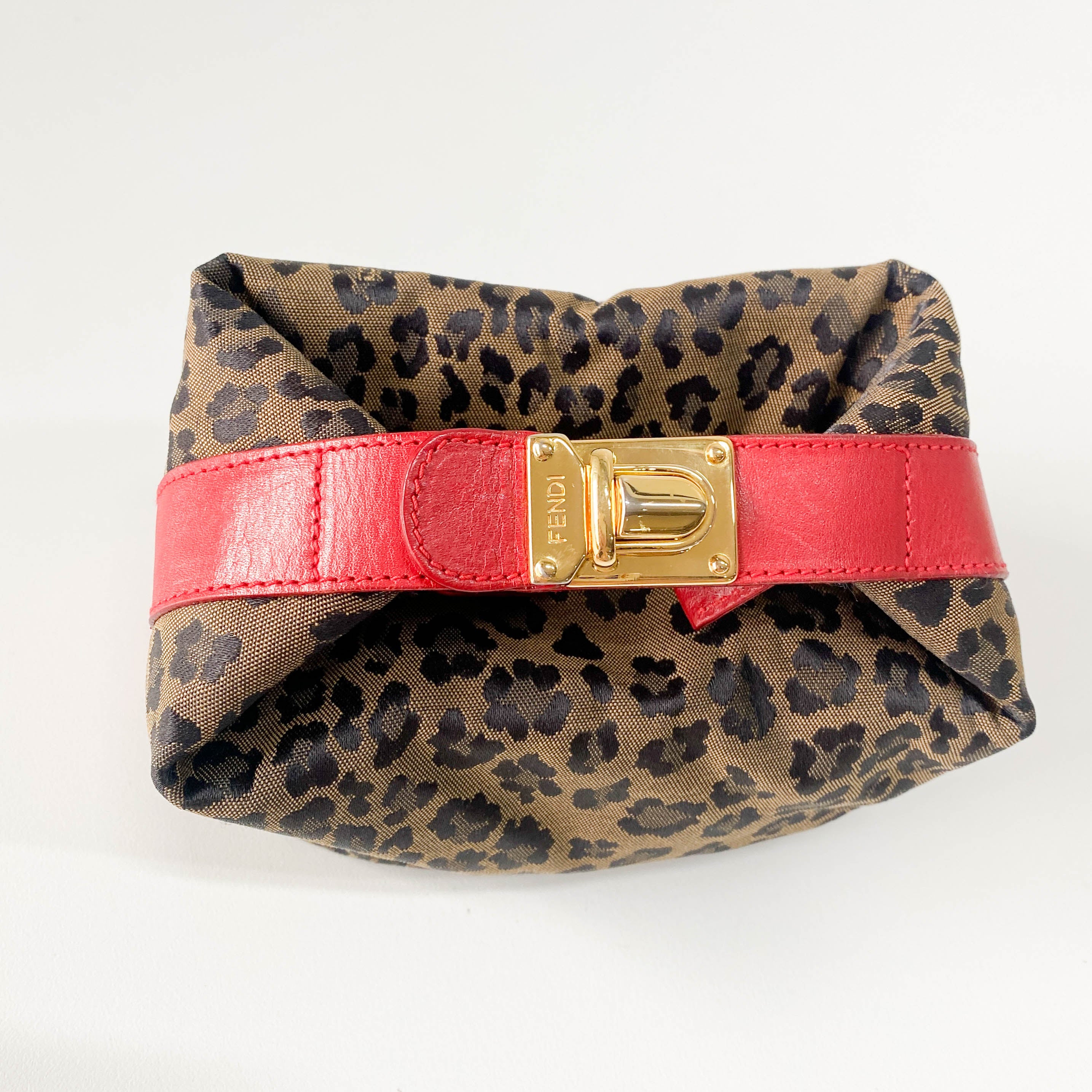 Mini Leopard Print Canvas Pouch Bag