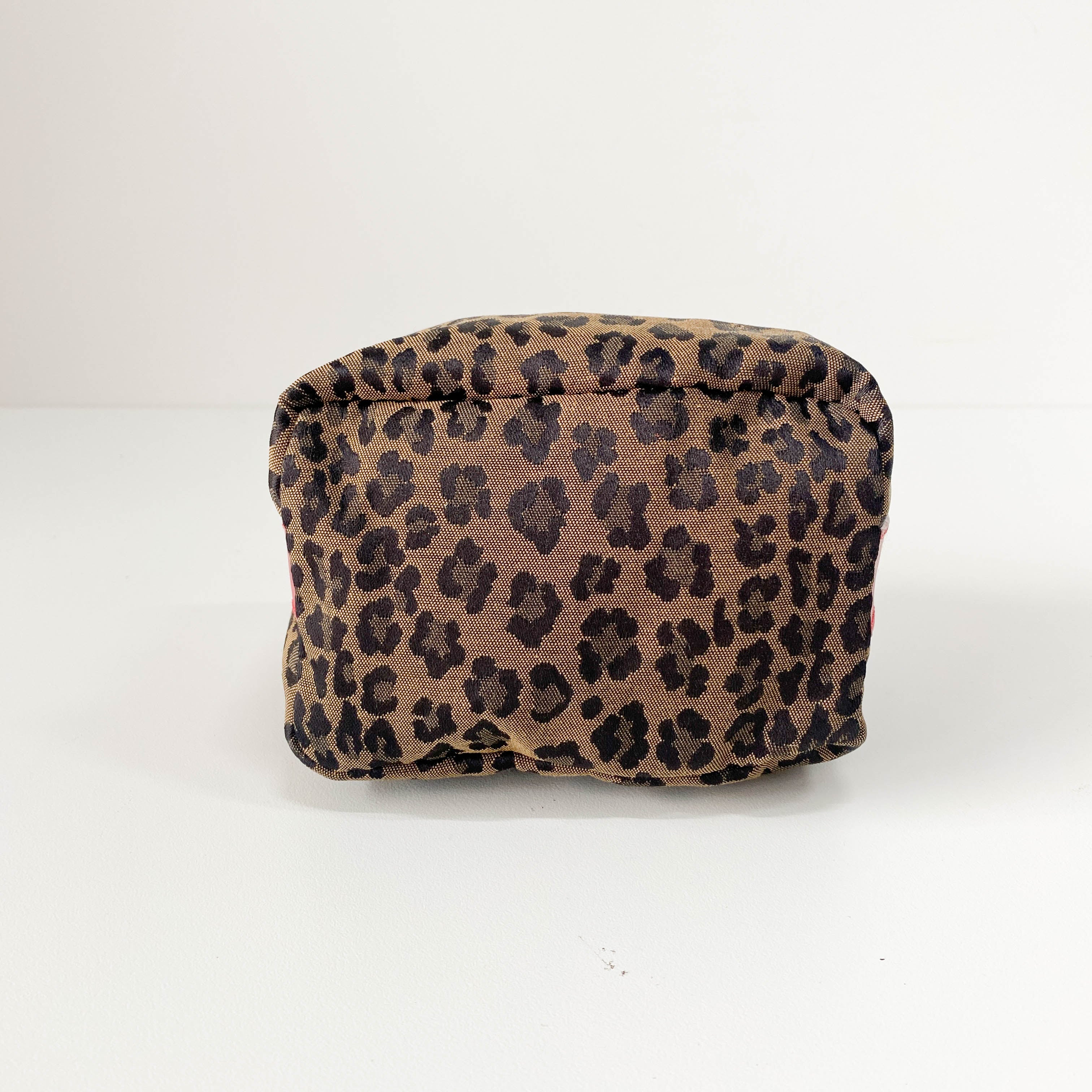 Mini Leopard Print Canvas Pouch Bag