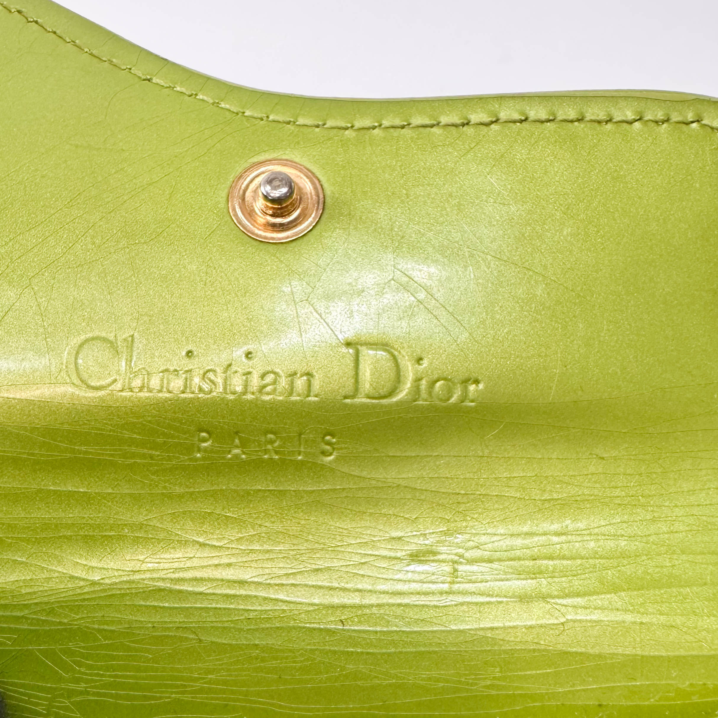 Saddle Mini Green Lizard Leather Pouch