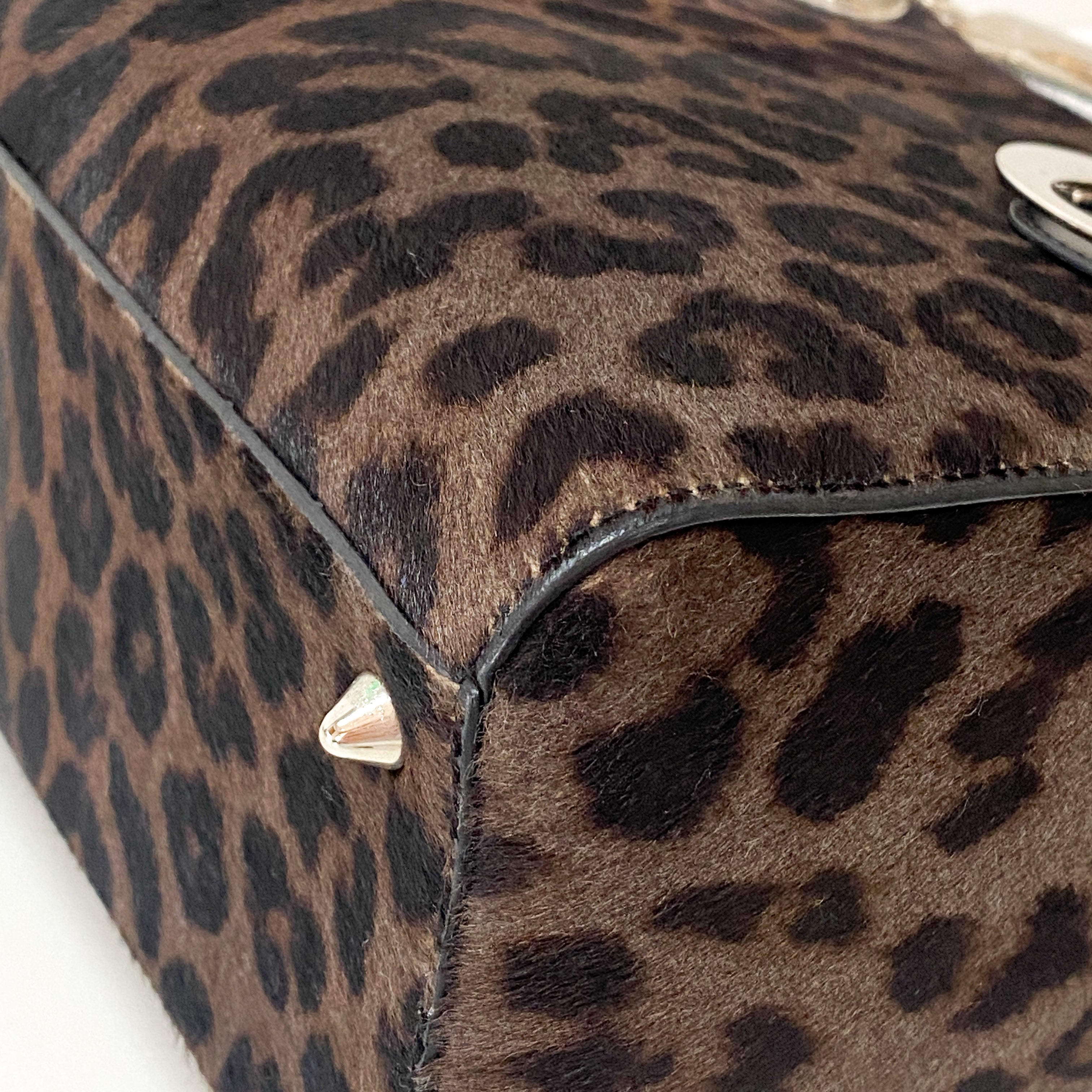 Lady Dior Black Leopard Print Pony Hair Two Way Bag