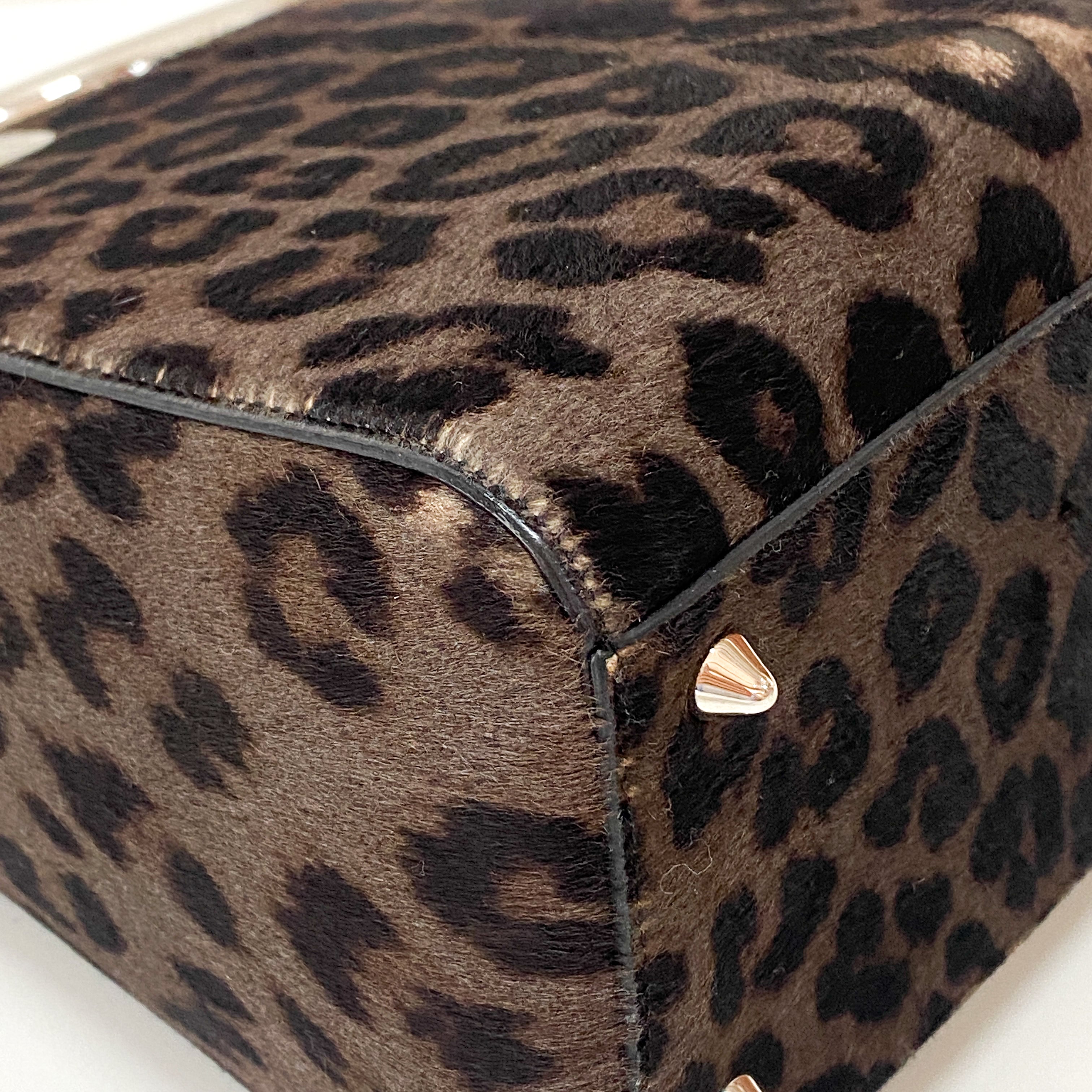 Lady Dior Black Leopard Print Pony Hair Two Way Bag