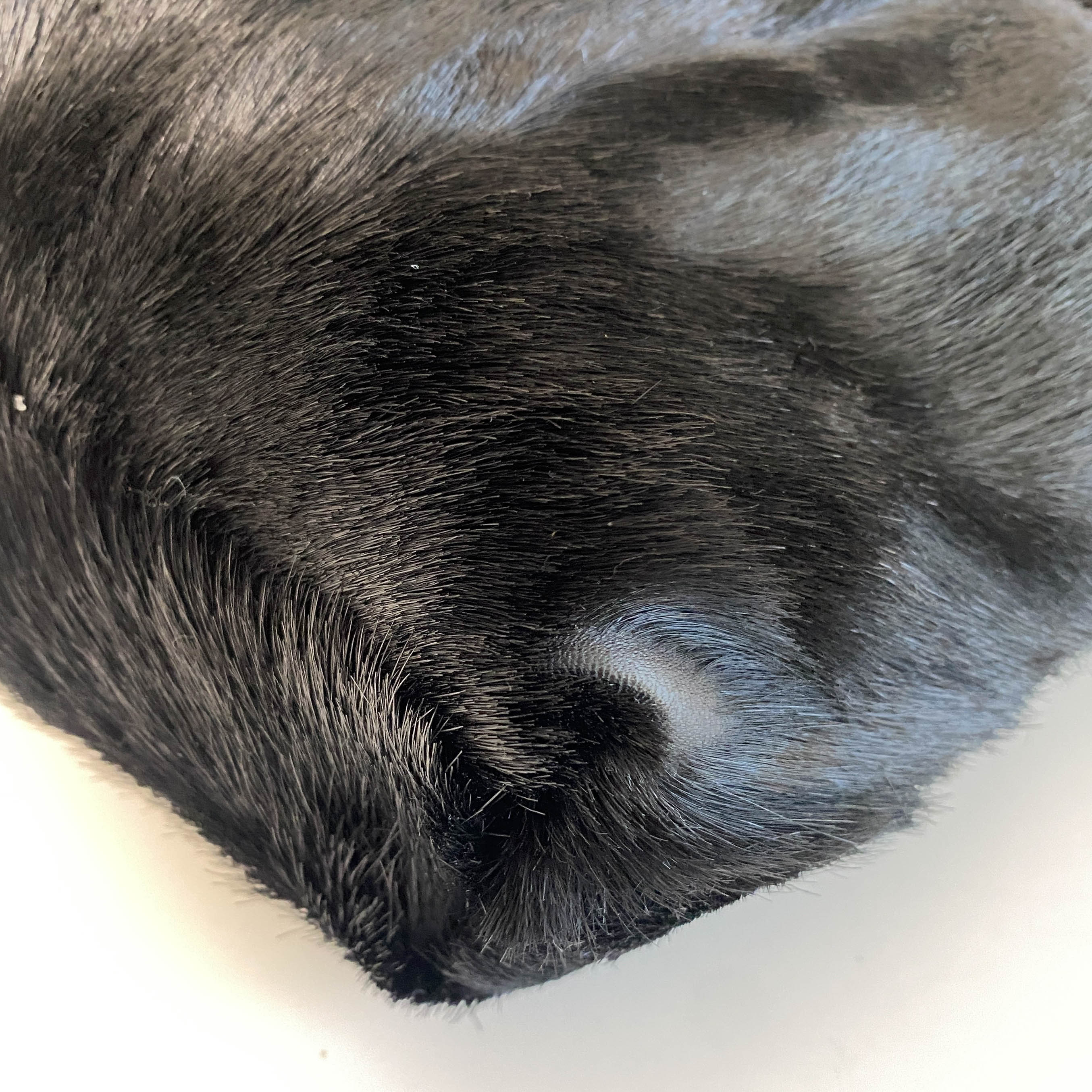 Black Pony Hair Hobo Shoulder Bag