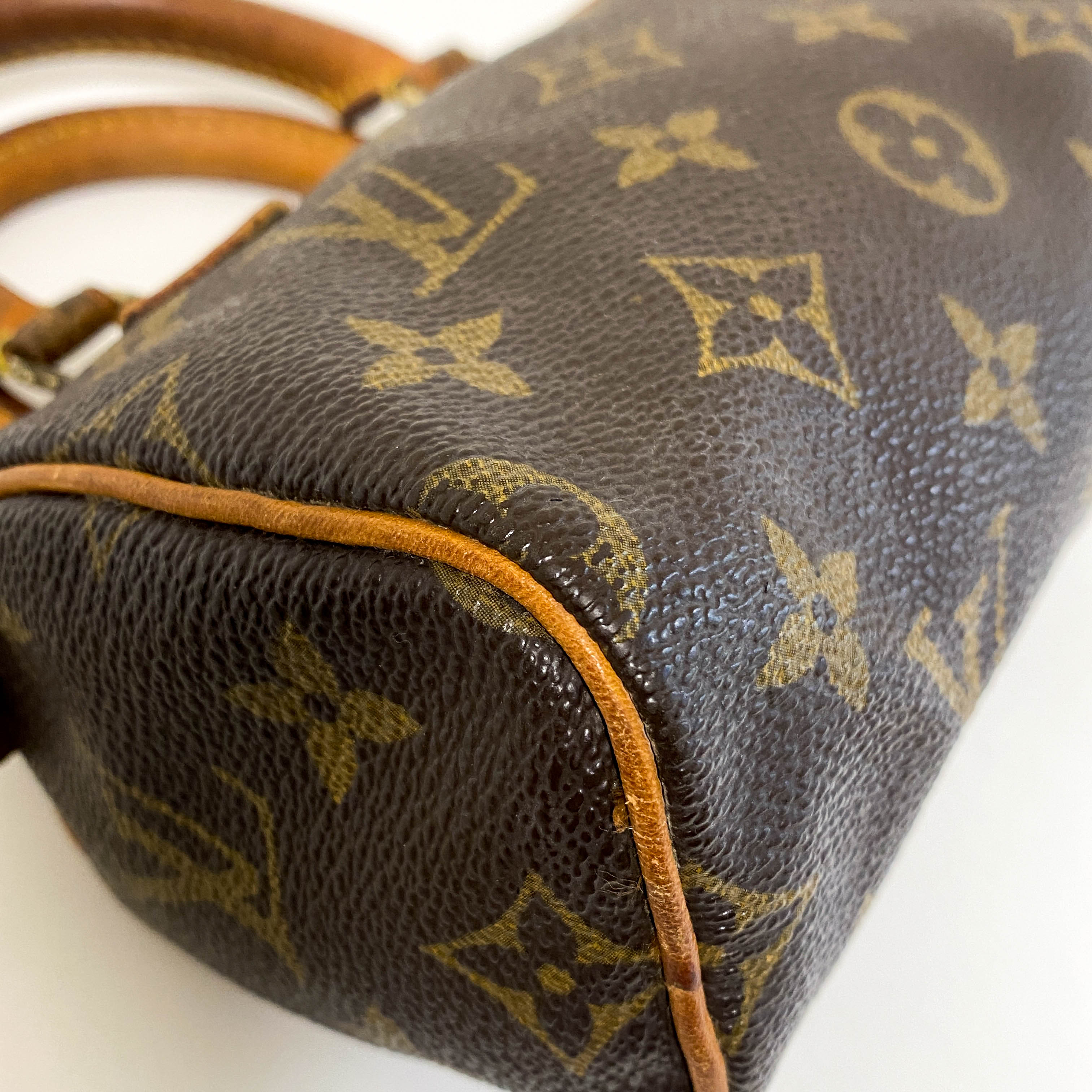 Nano Speedy / Mini HL Monogram Handbag