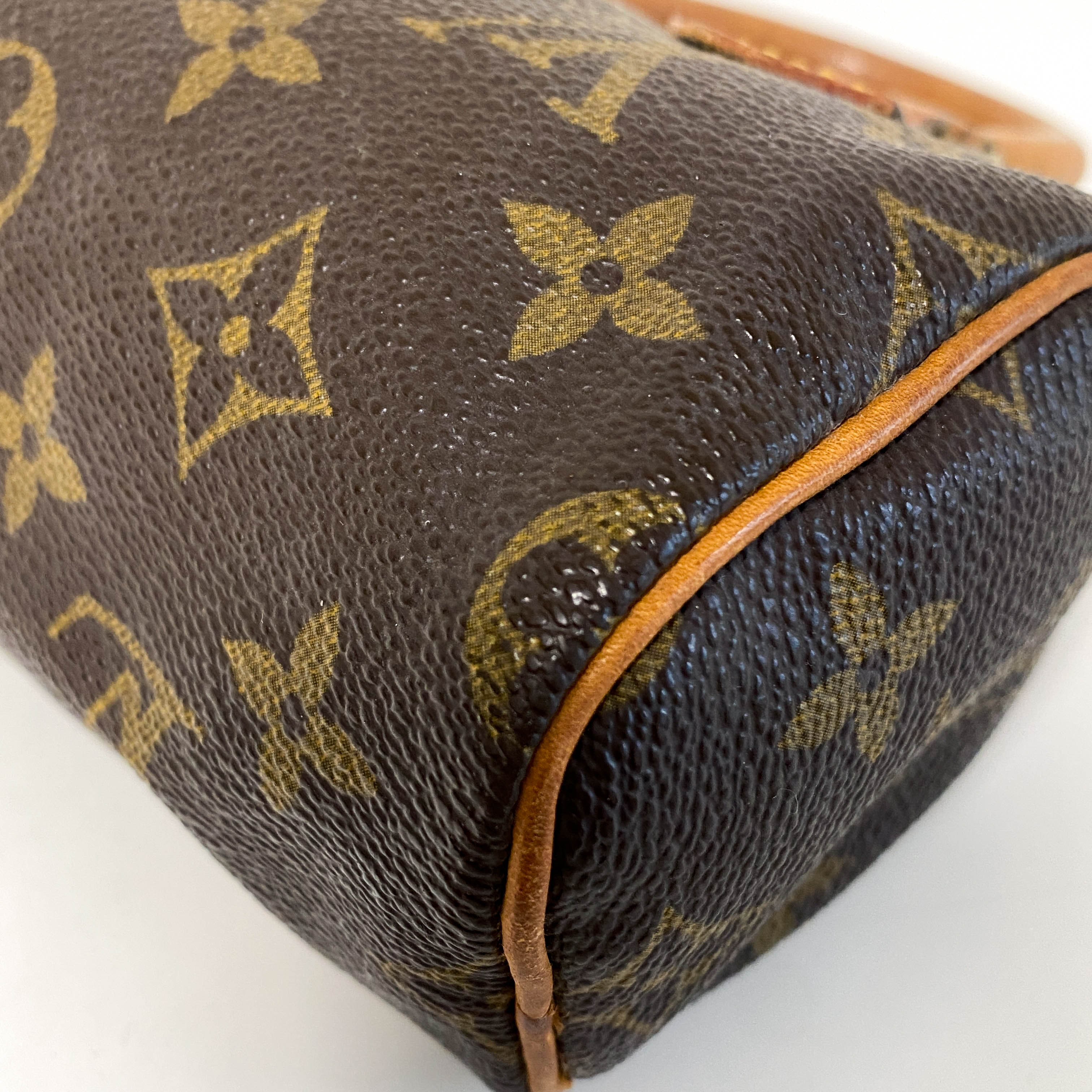 Nano Speedy / Mini HL Monogram Handbag