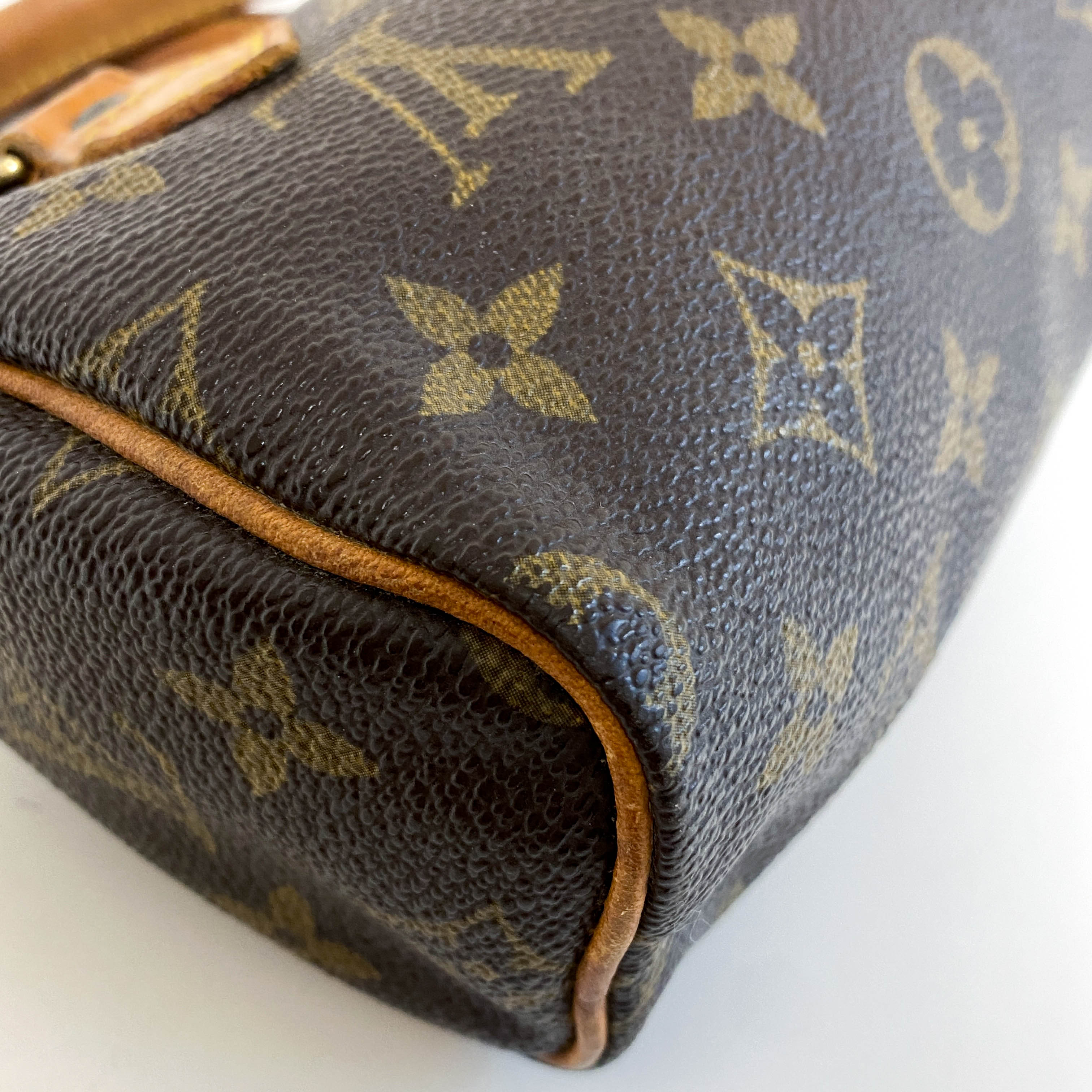 Nano Speedy / Mini HL Monogram Handbag