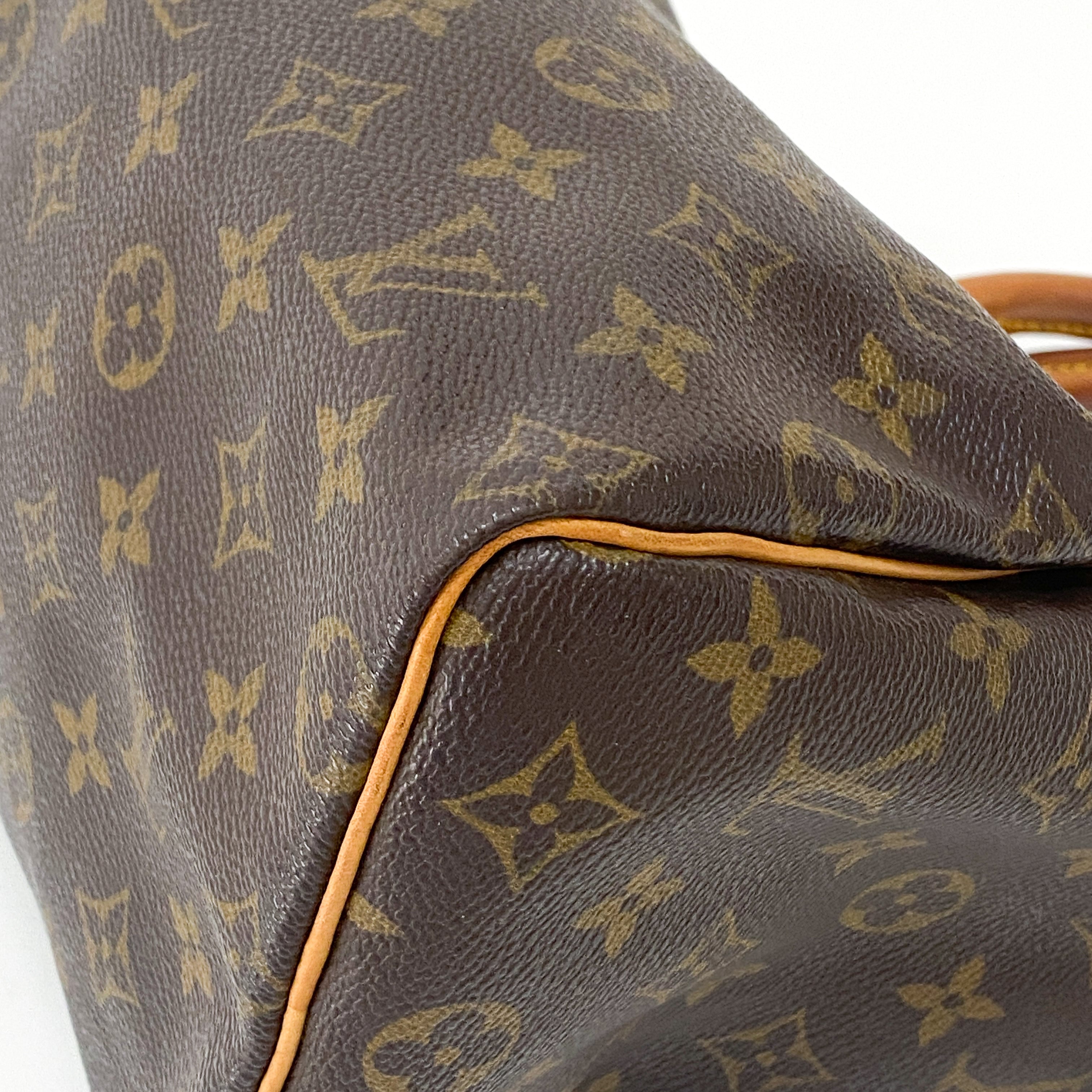 Monogram 25 Brown Canvas Handbag