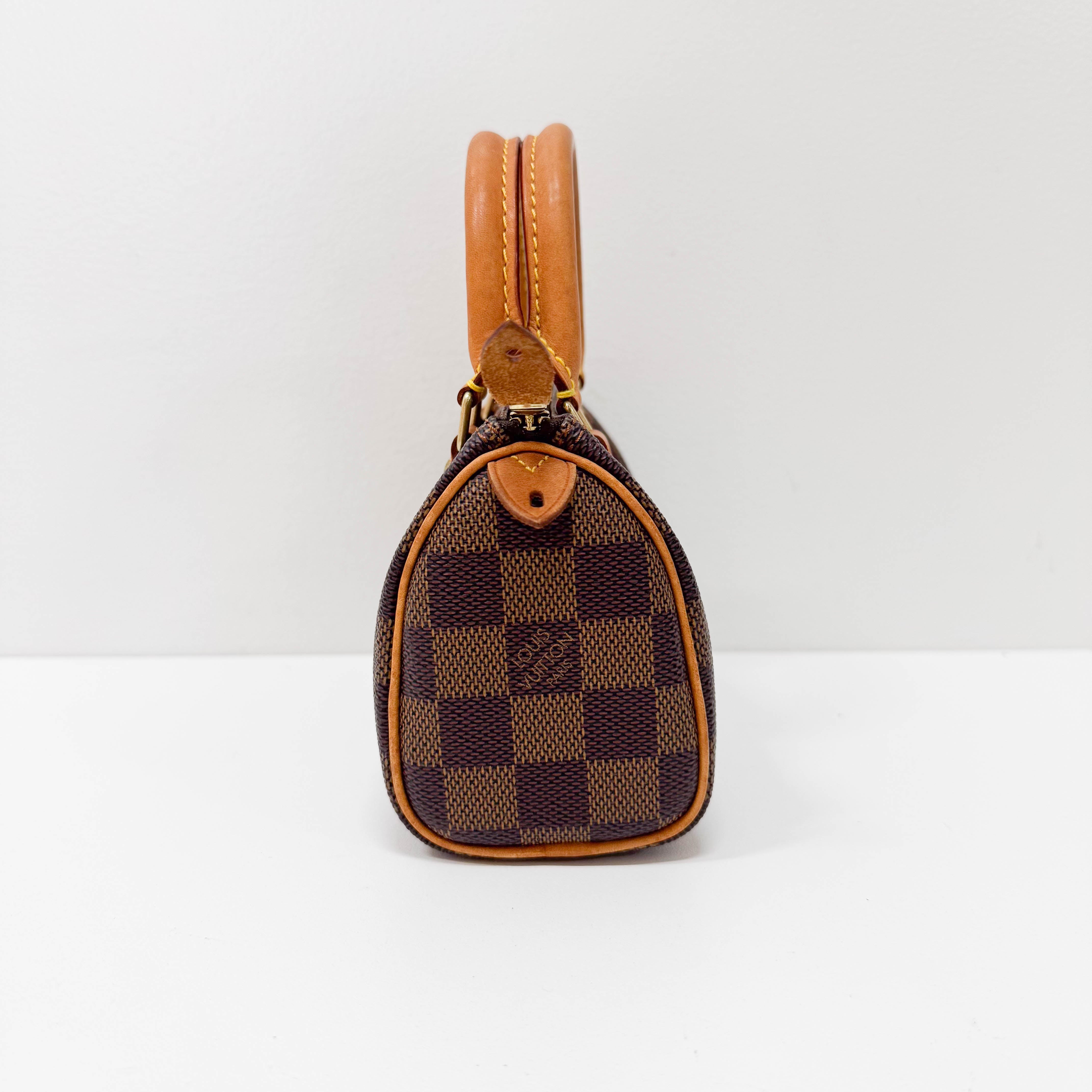 Mini Speedy Damier Handbag