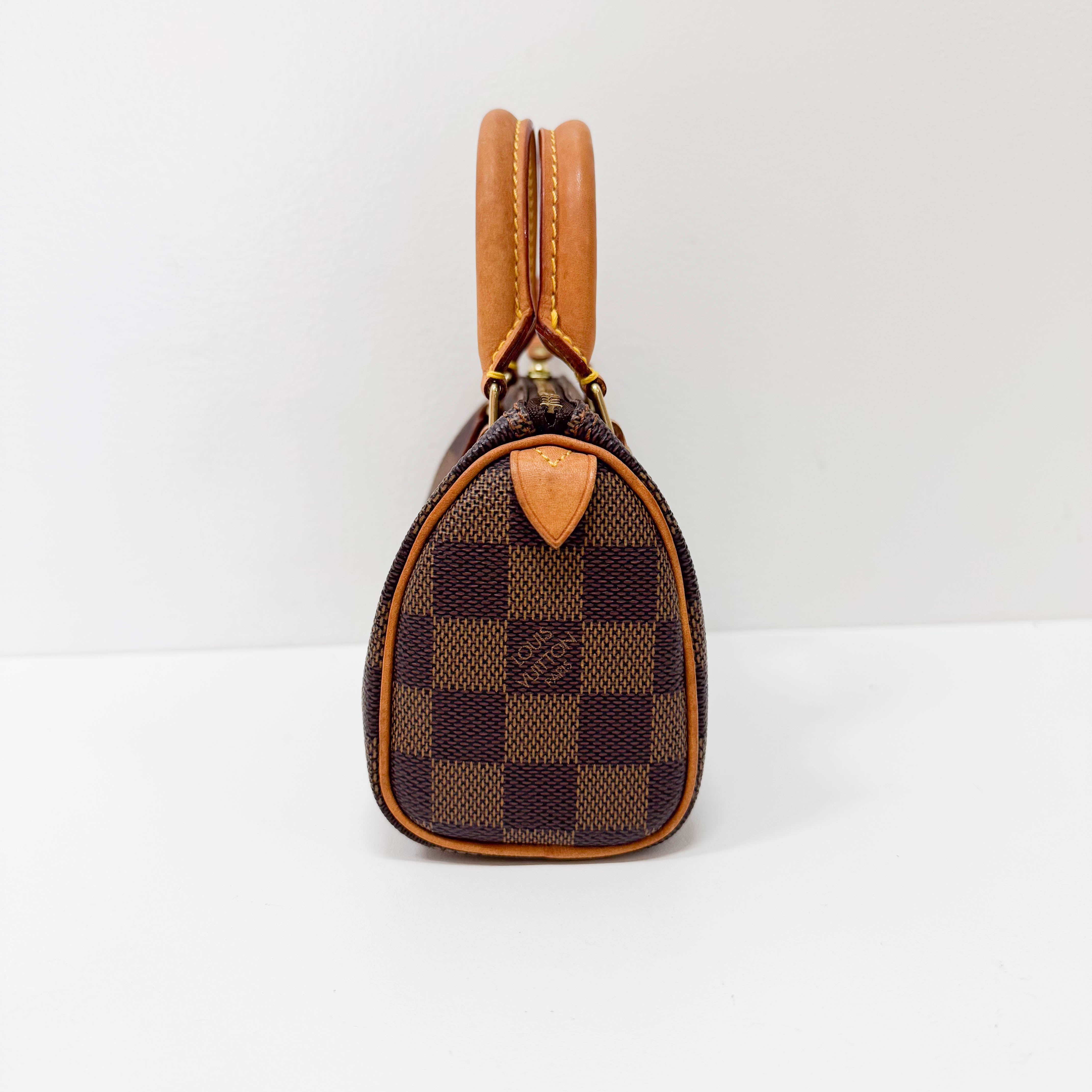 Mini Speedy Damier Handbag