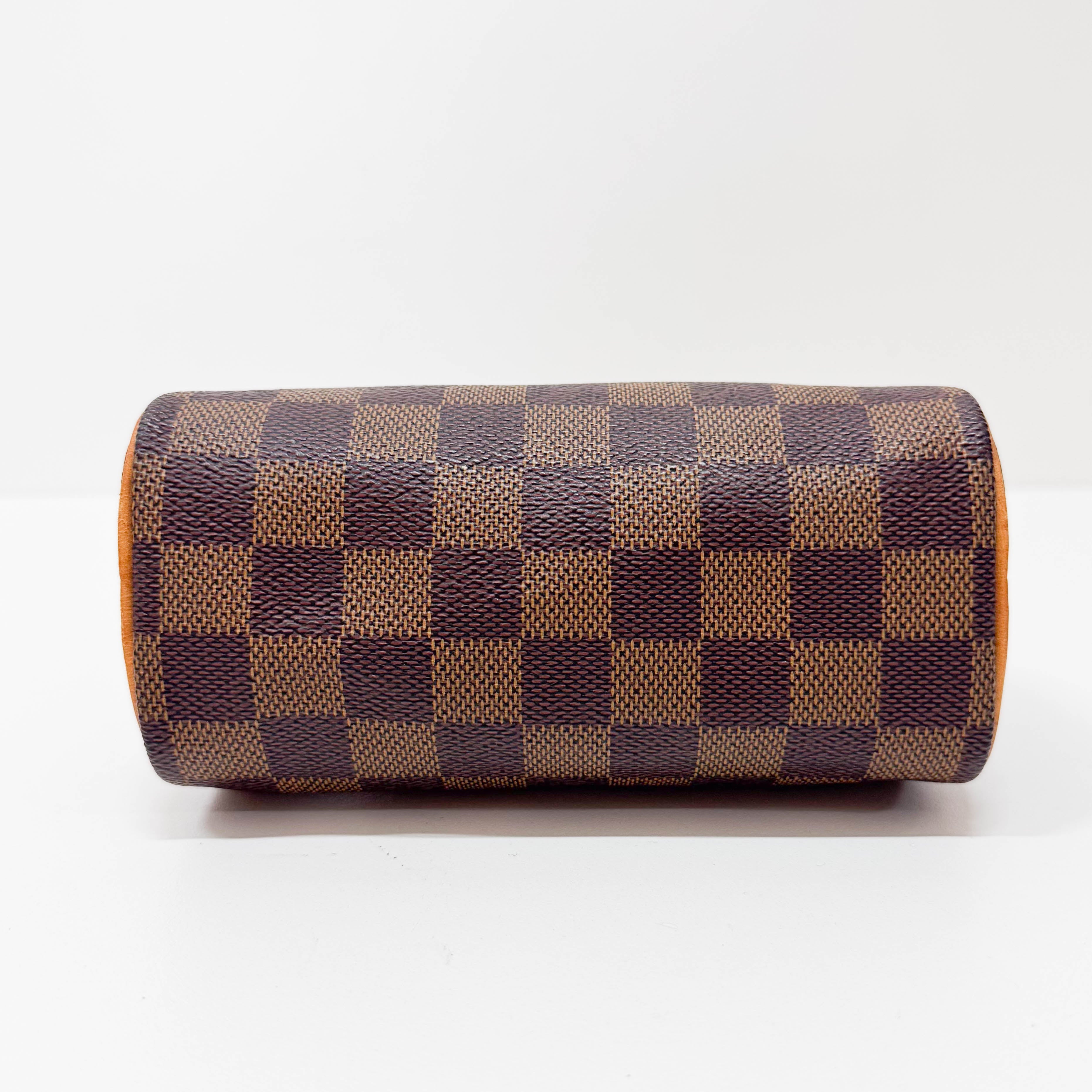 Mini Speedy Damier Handbag