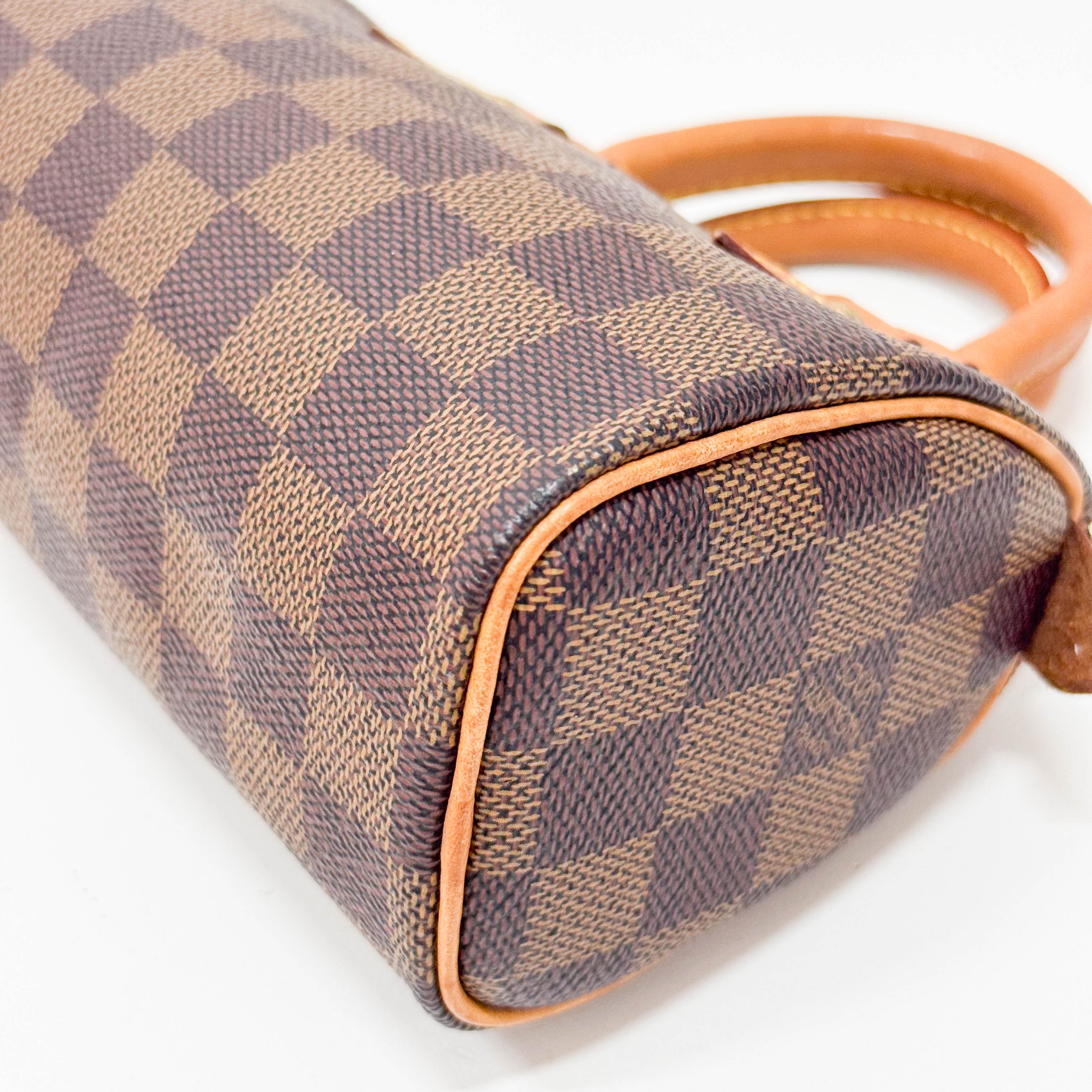 Mini Speedy Damier Handbag