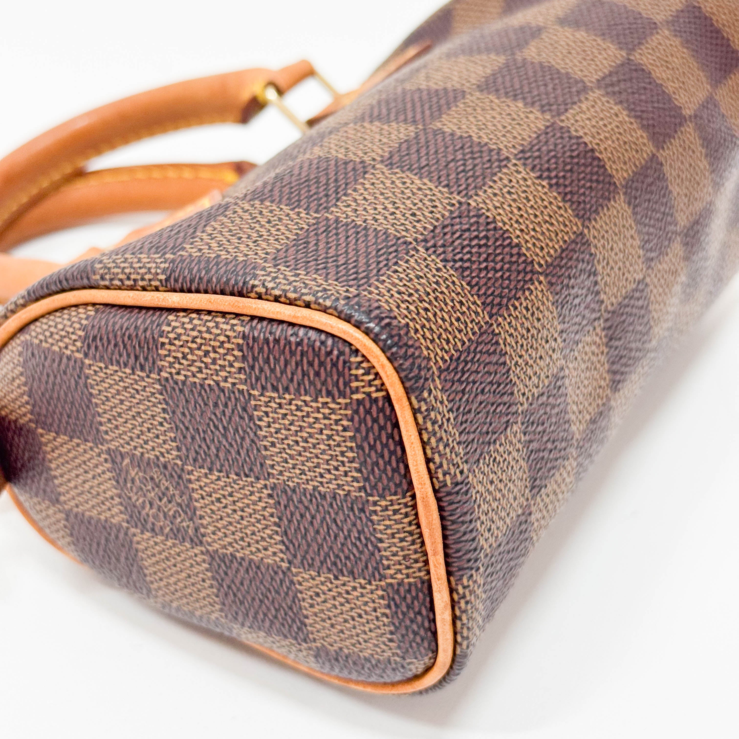 Mini Speedy Damier Handbag
