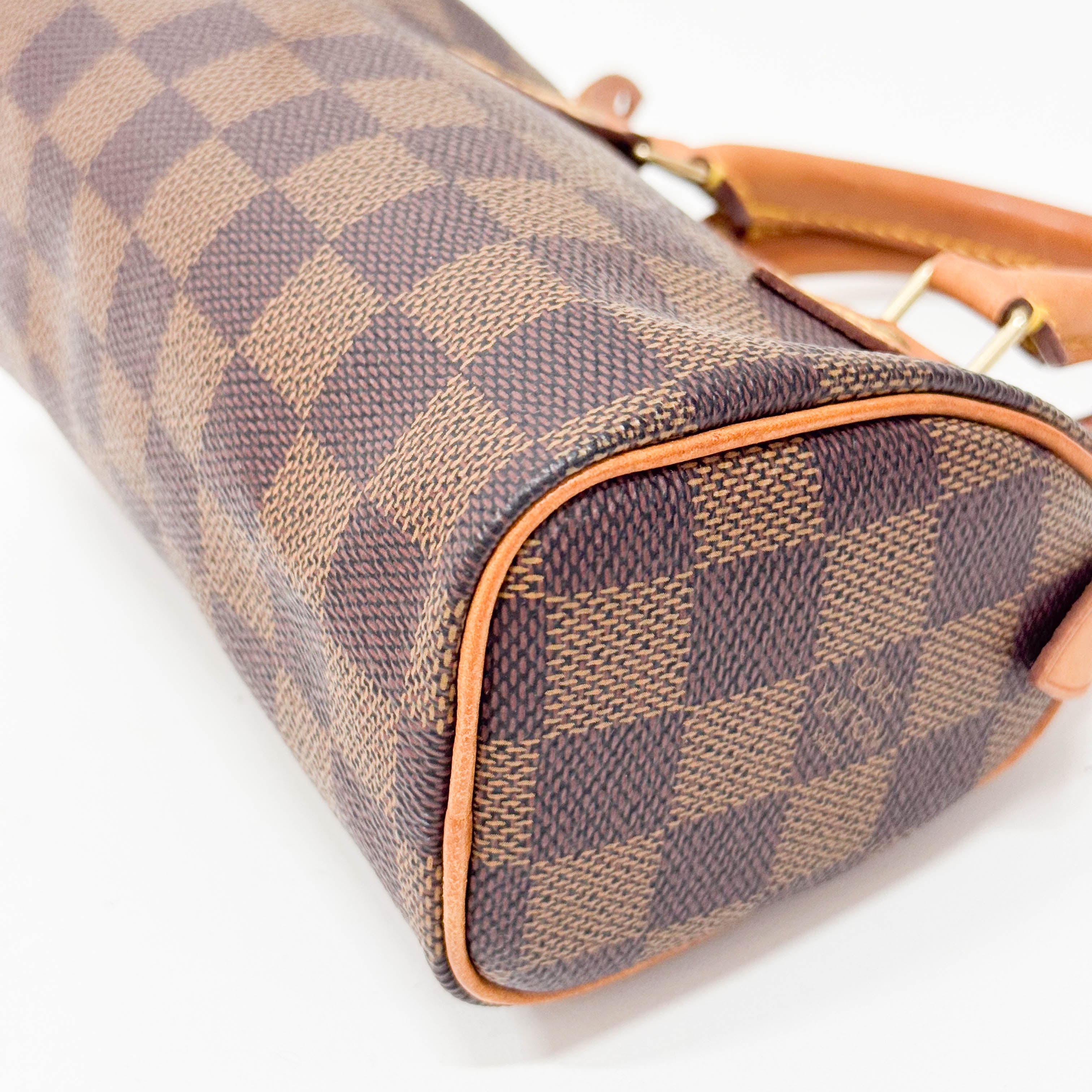 Mini Speedy Damier Handbag