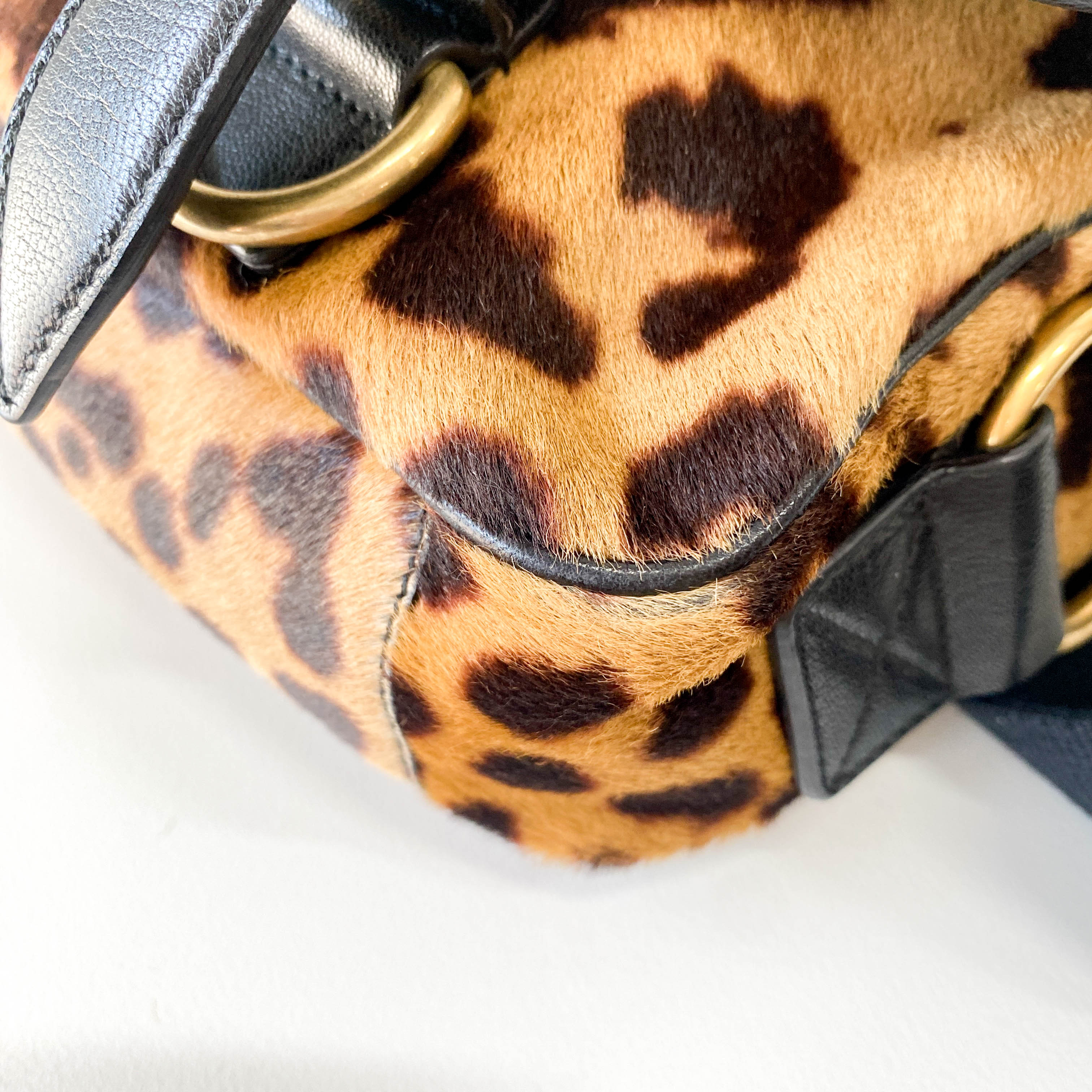 Rive Gauche Colt Leopard Print Crossbody Bag
