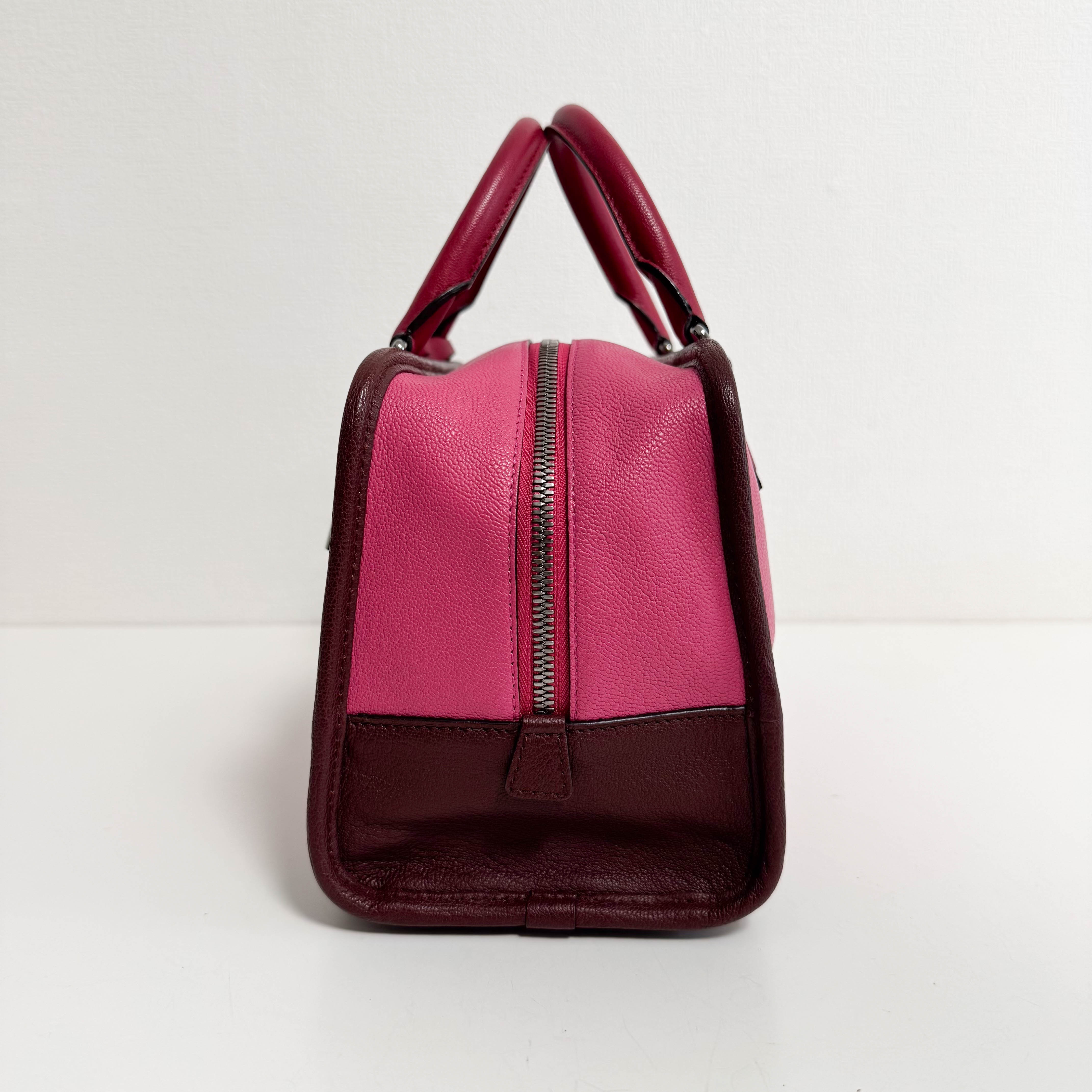 Amazona 28 Pink Leather Hand Bag