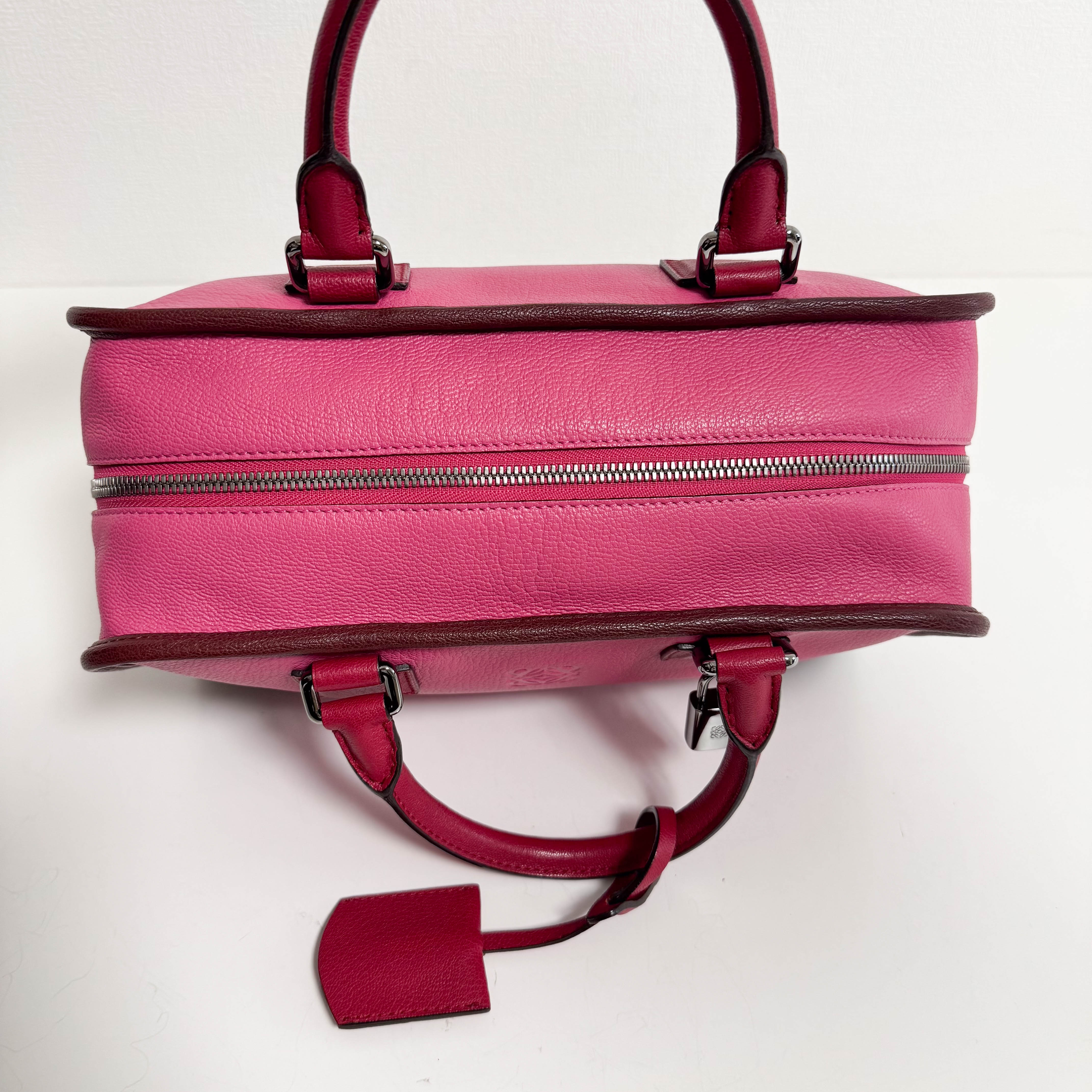 Amazona 28 Pink Leather Hand Bag