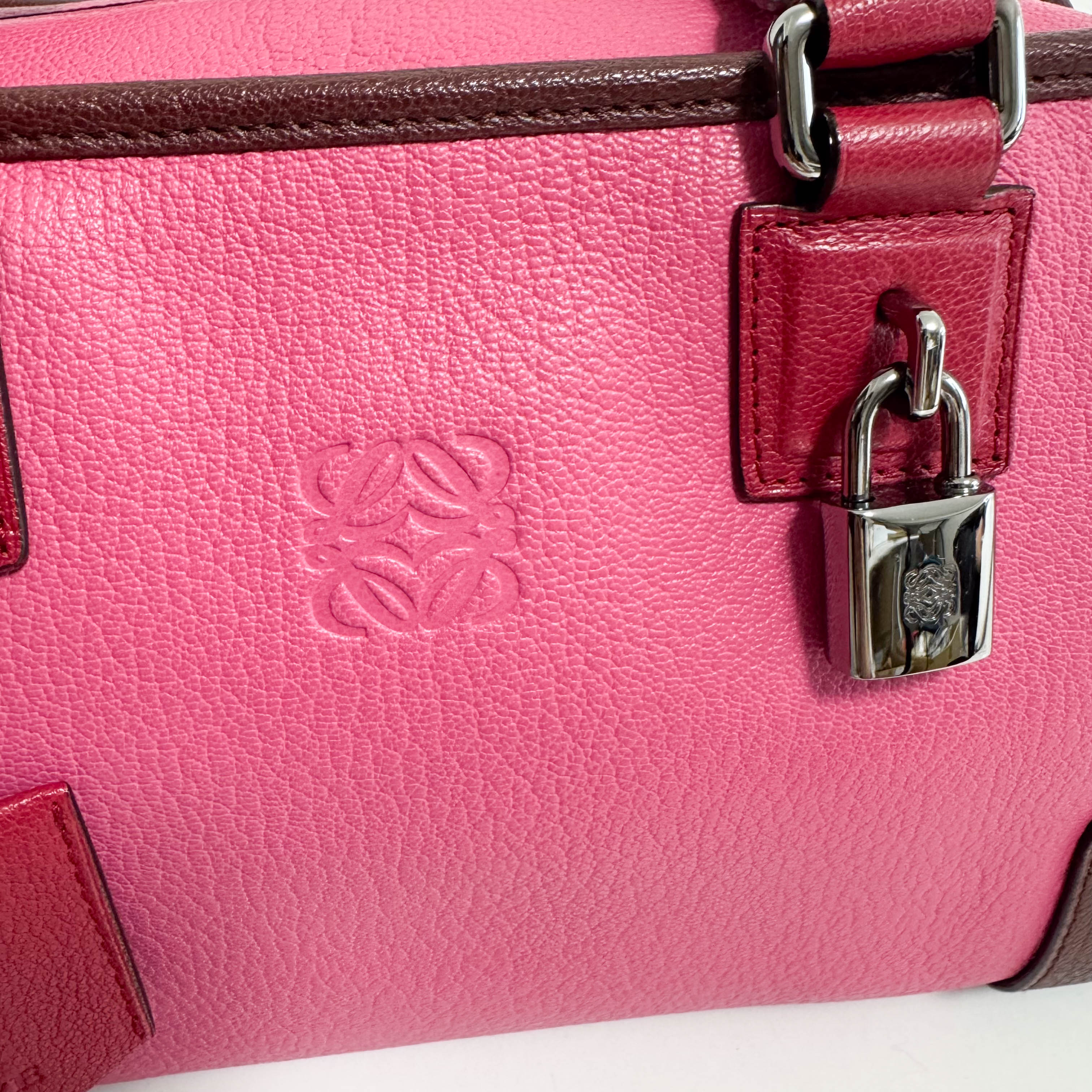 Amazona 28 Pink Leather Hand Bag