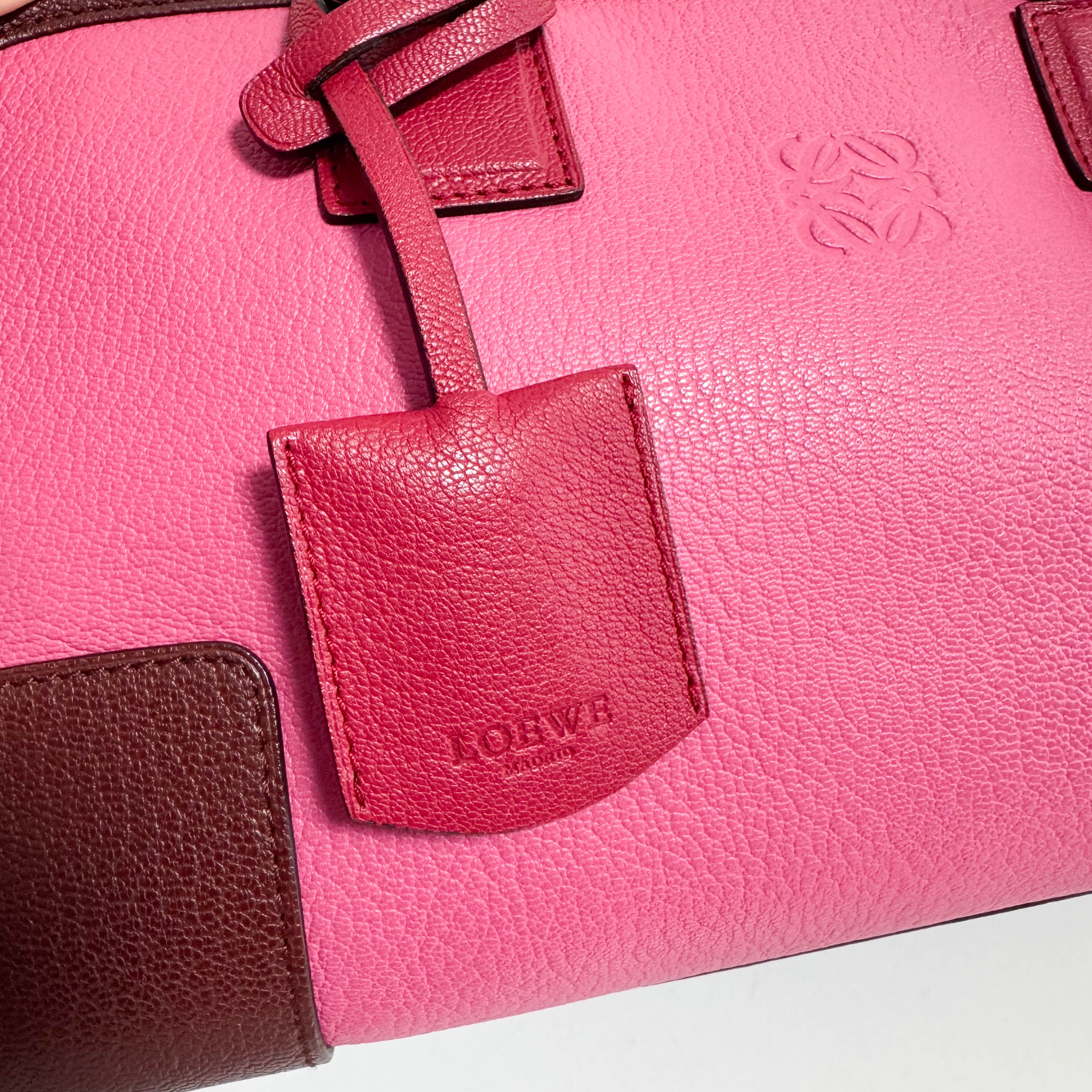 Amazona 28 Pink Leather Hand Bag