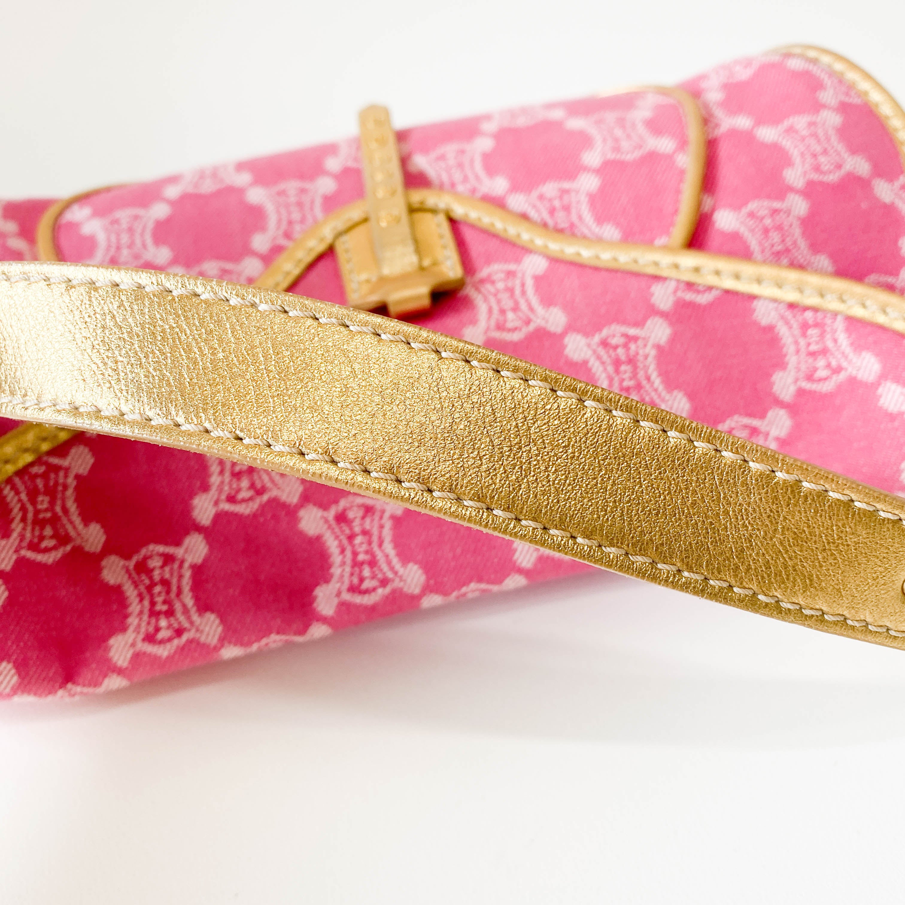 Paris Macadam Pink Canvas Shoulder Bag