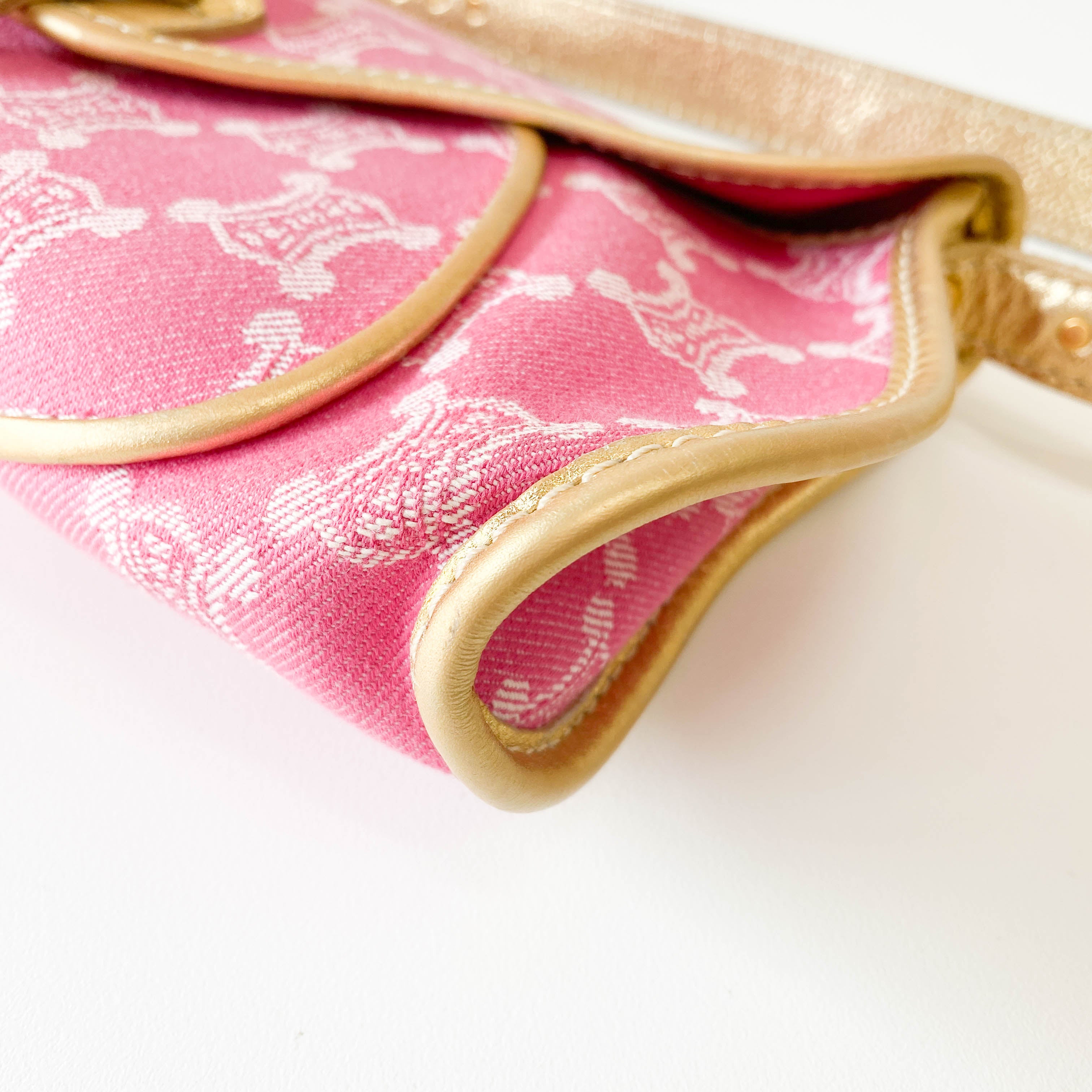 Paris Macadam Pink Canvas Shoulder Bag