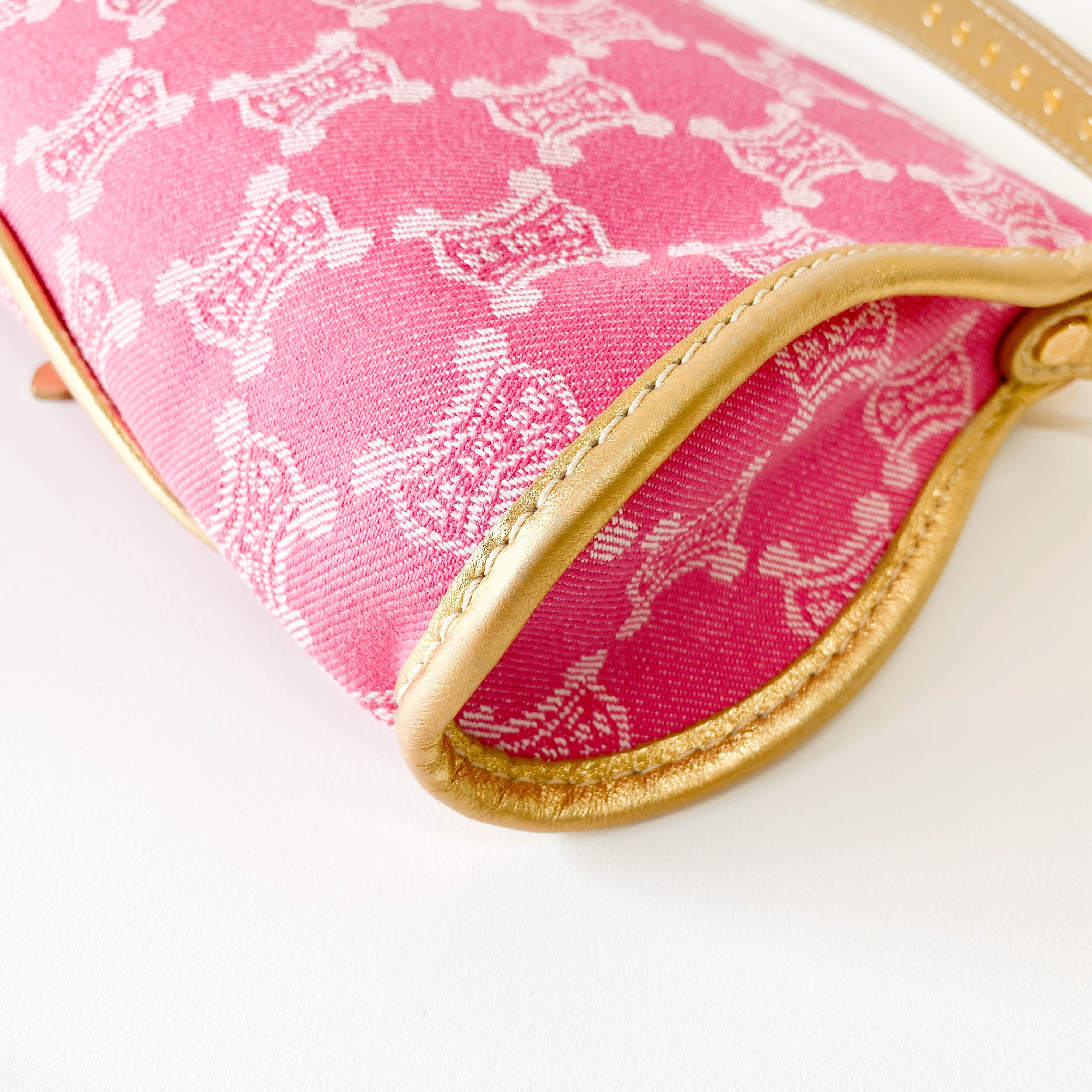 Paris Macadam Pink Canvas Shoulder Bag