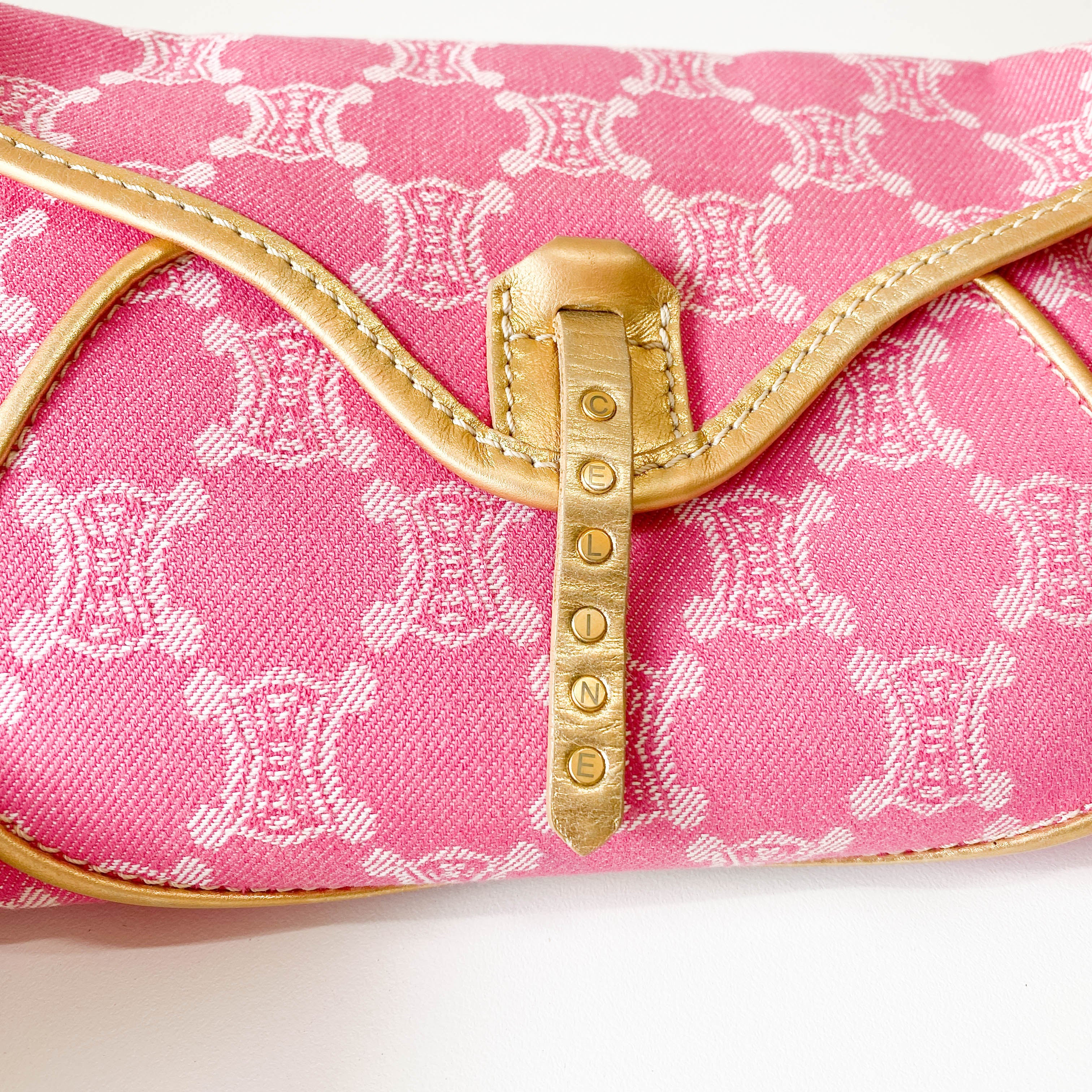 Paris Macadam Pink Canvas Shoulder Bag