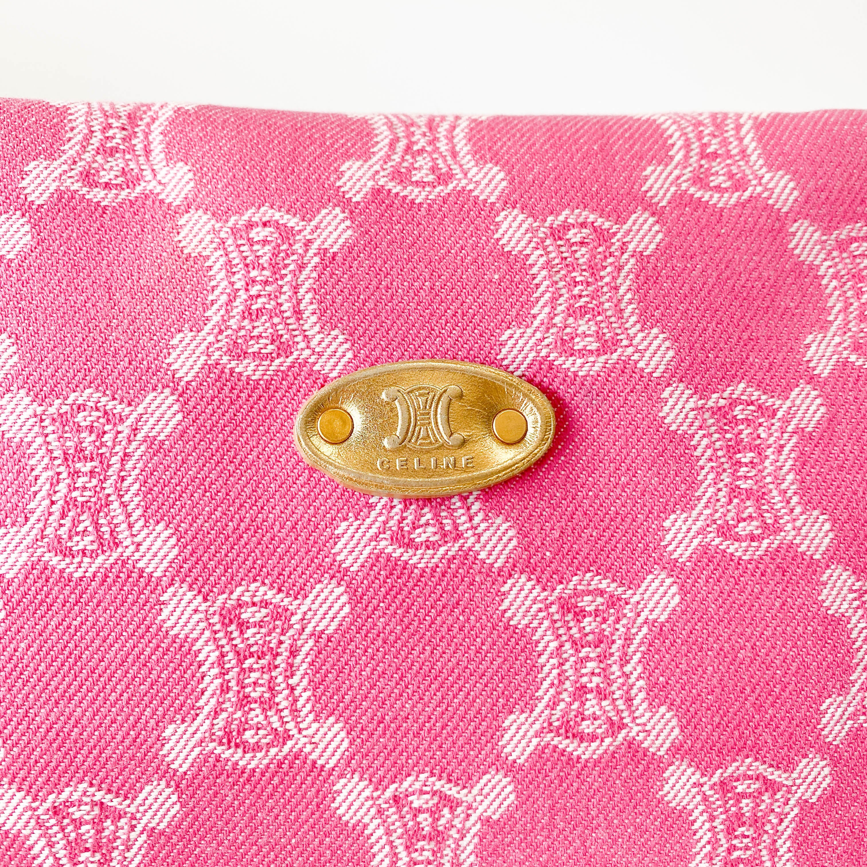 Paris Macadam Pink Canvas Shoulder Bag