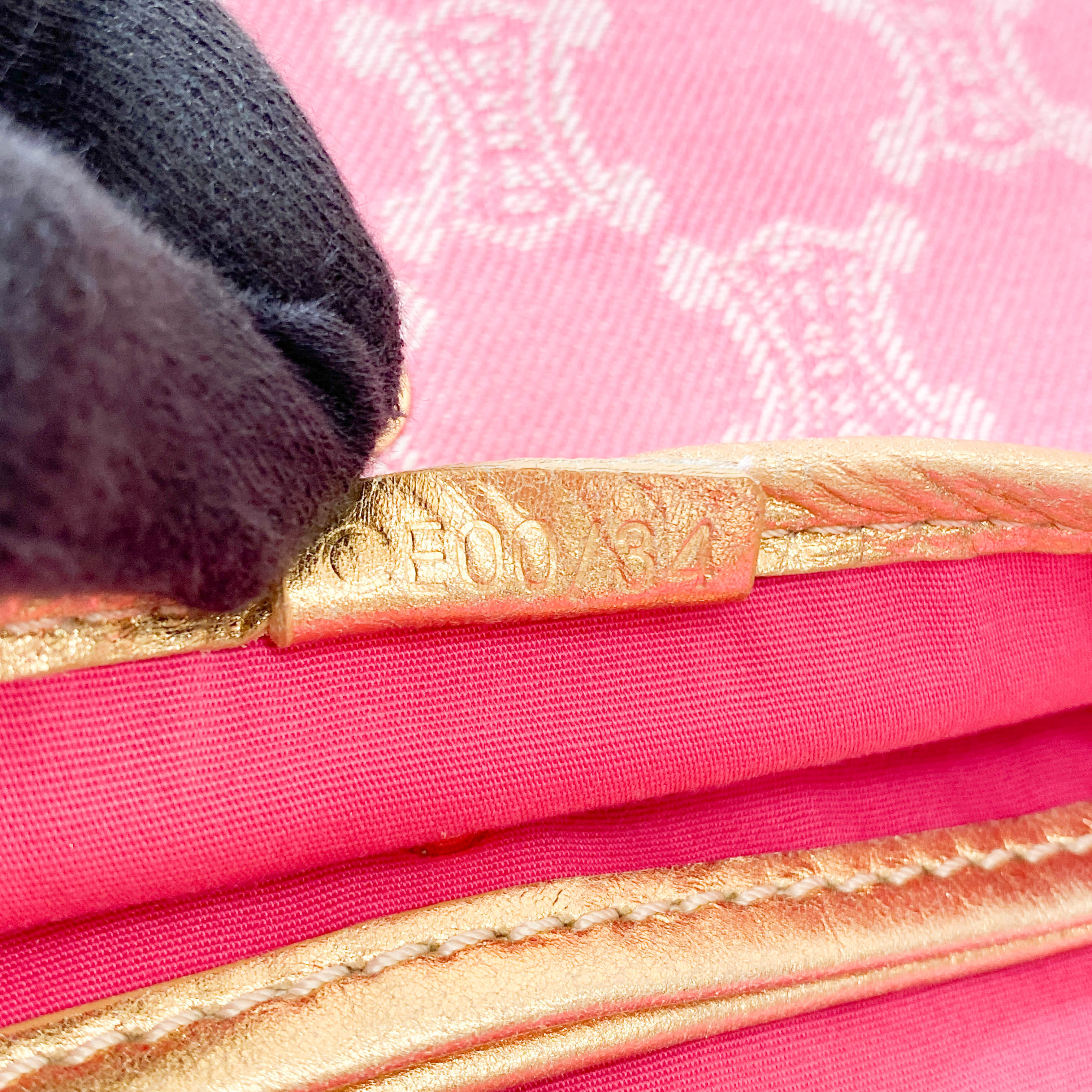 Paris Macadam Pink Canvas Shoulder Bag