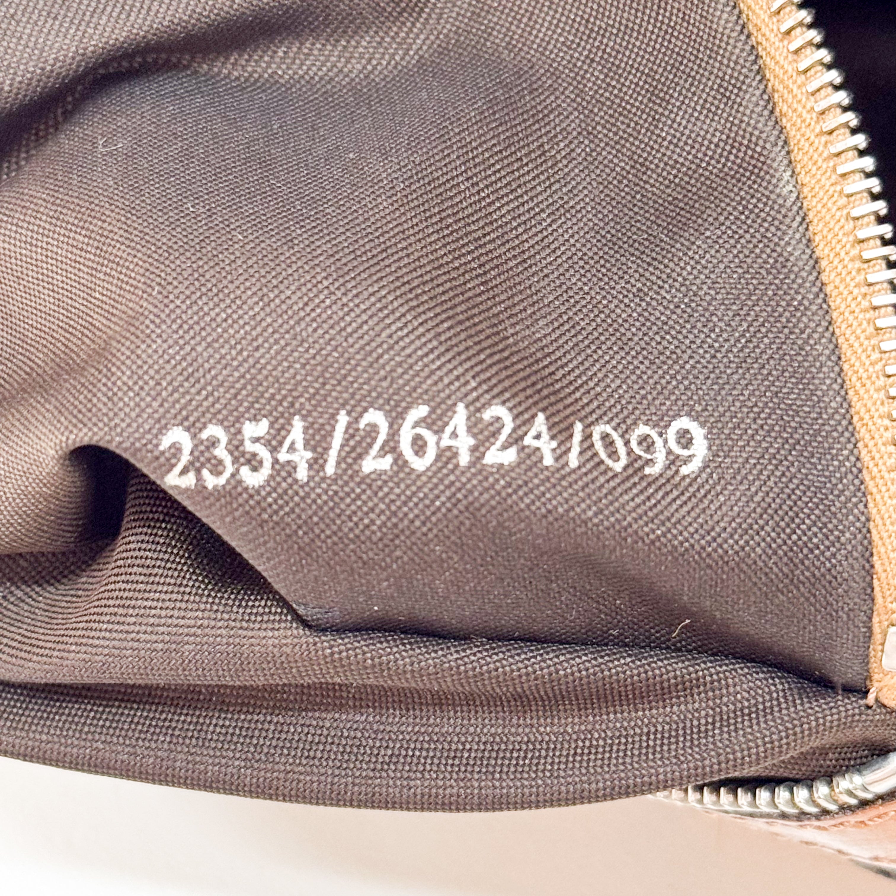 Baguette Leopard Print Pony Hair Bag