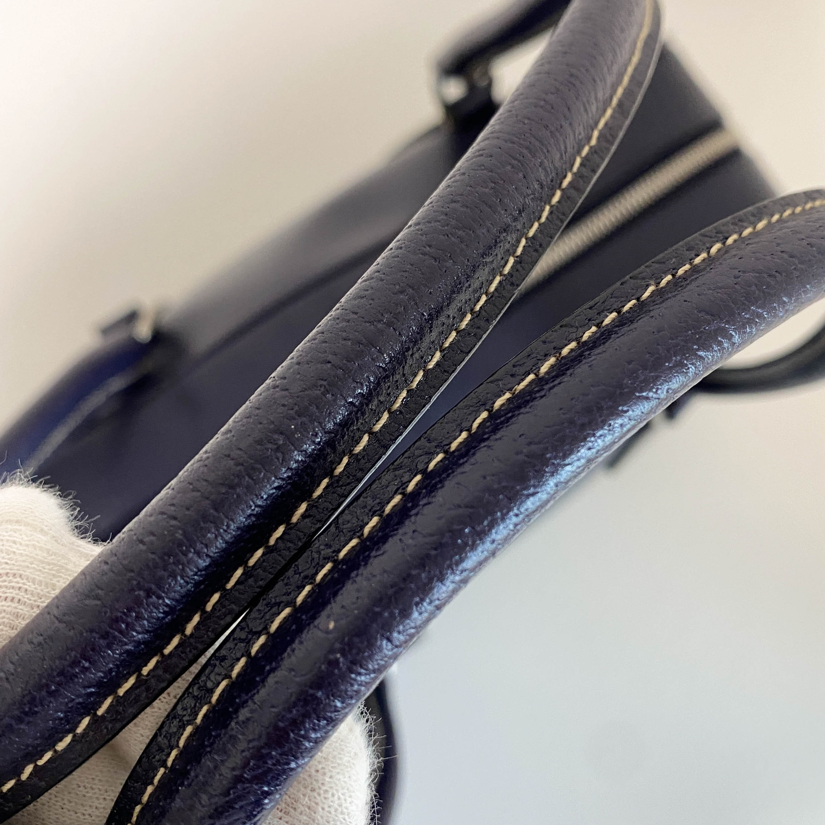 Prada Cinghiale Sport Bag Prugna Shoulder Bag