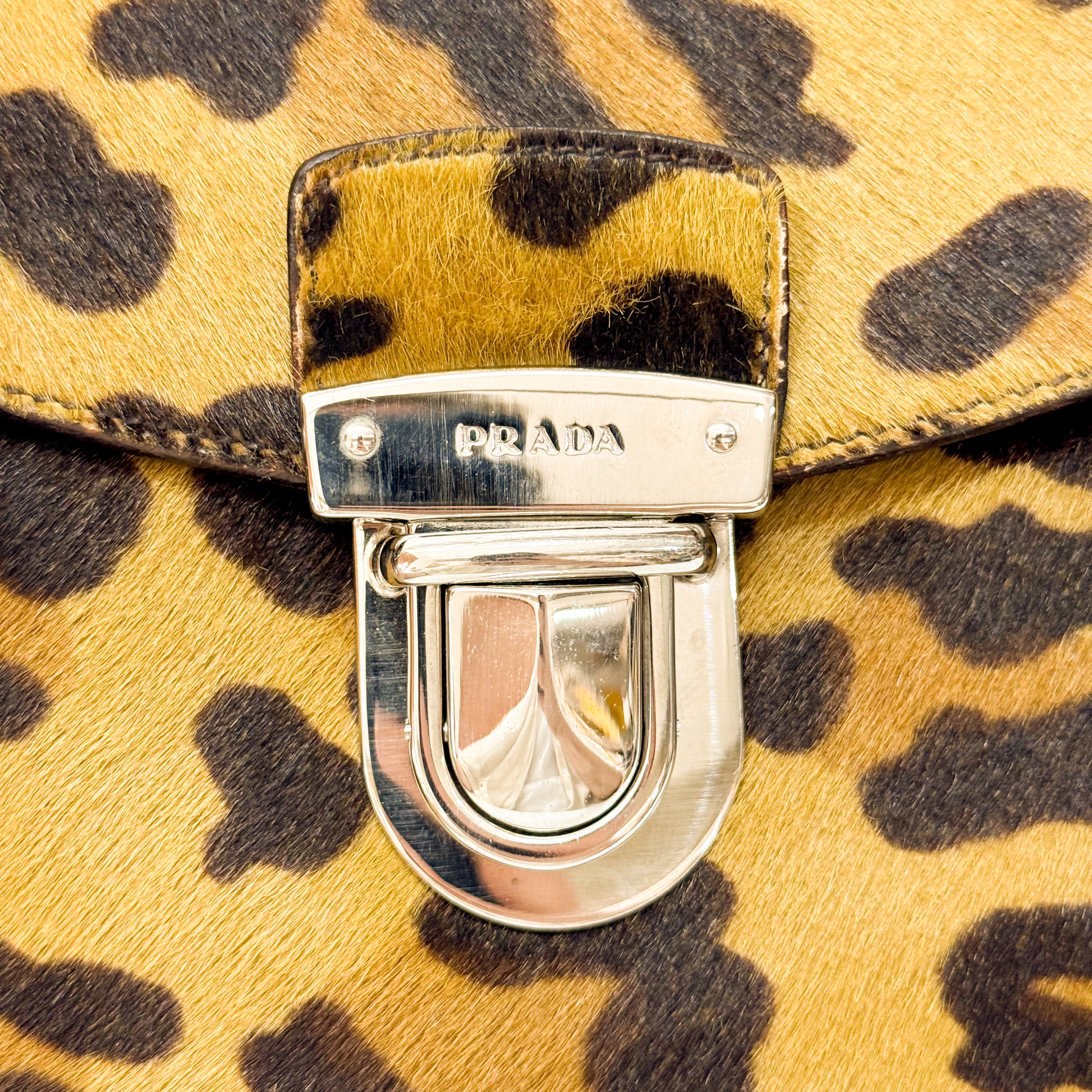 Leopard Print Pony Hair Bag