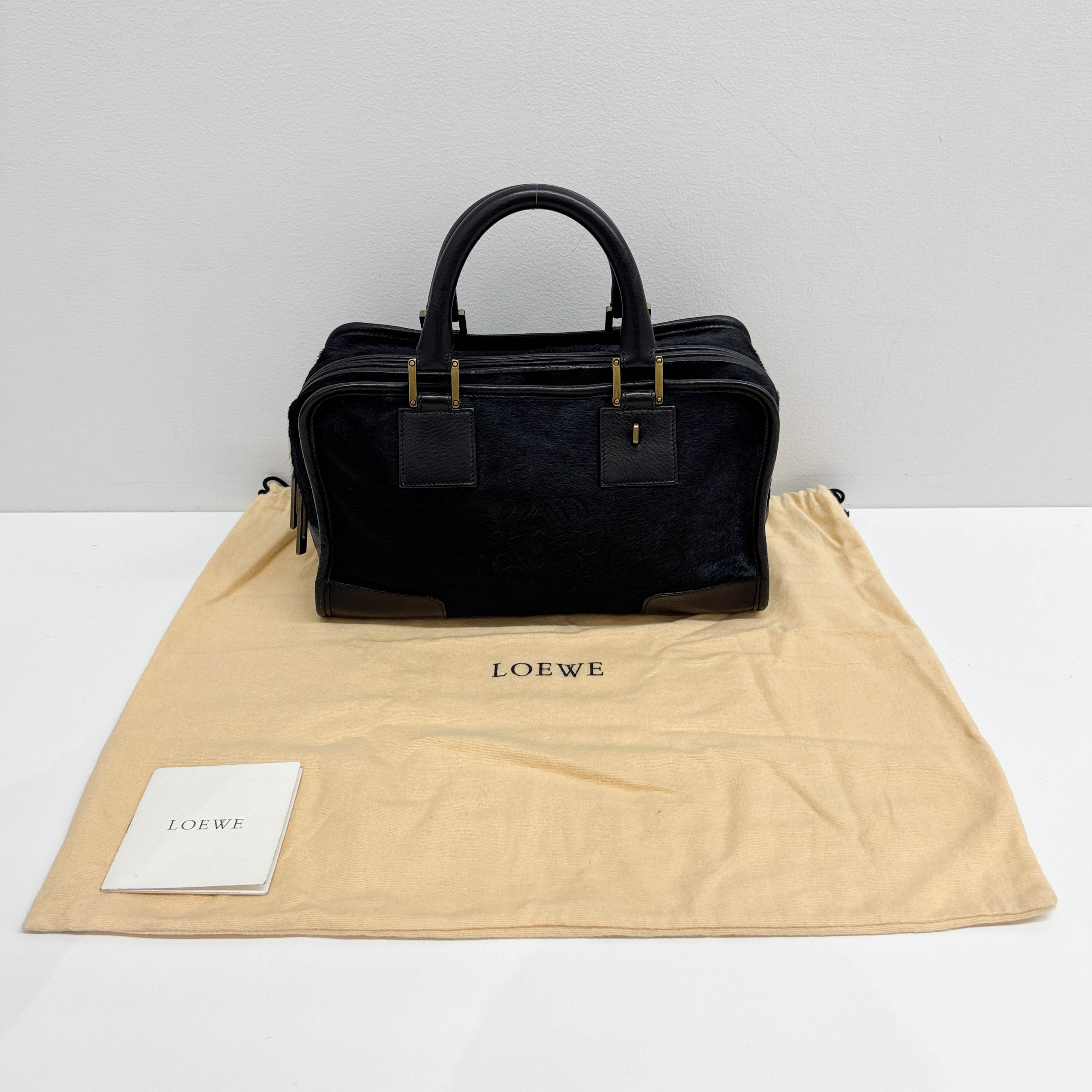 Amazona Black Pony Hair Hand Bag