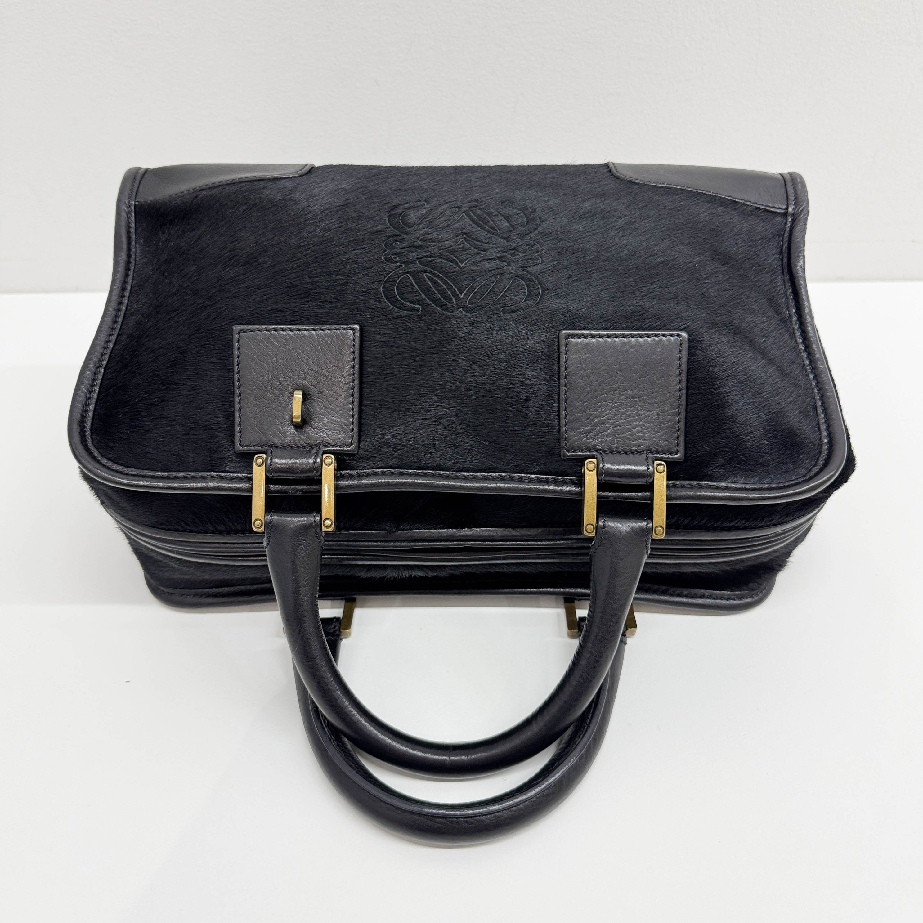 Amazona Black Pony Hair Hand Bag