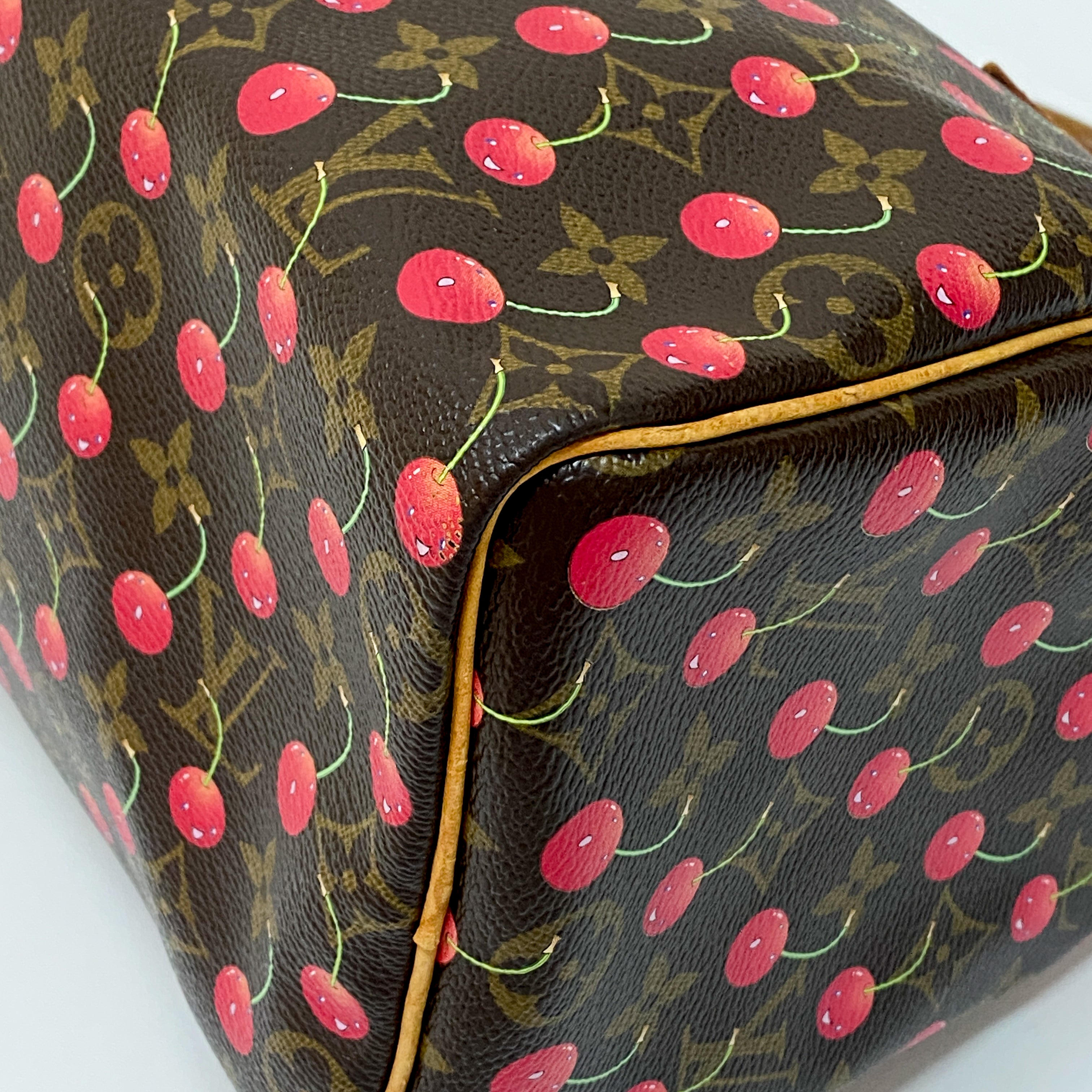 Louis Vuitton x Takashi Murakami Monogram Cherry Speedy 25 Handbag