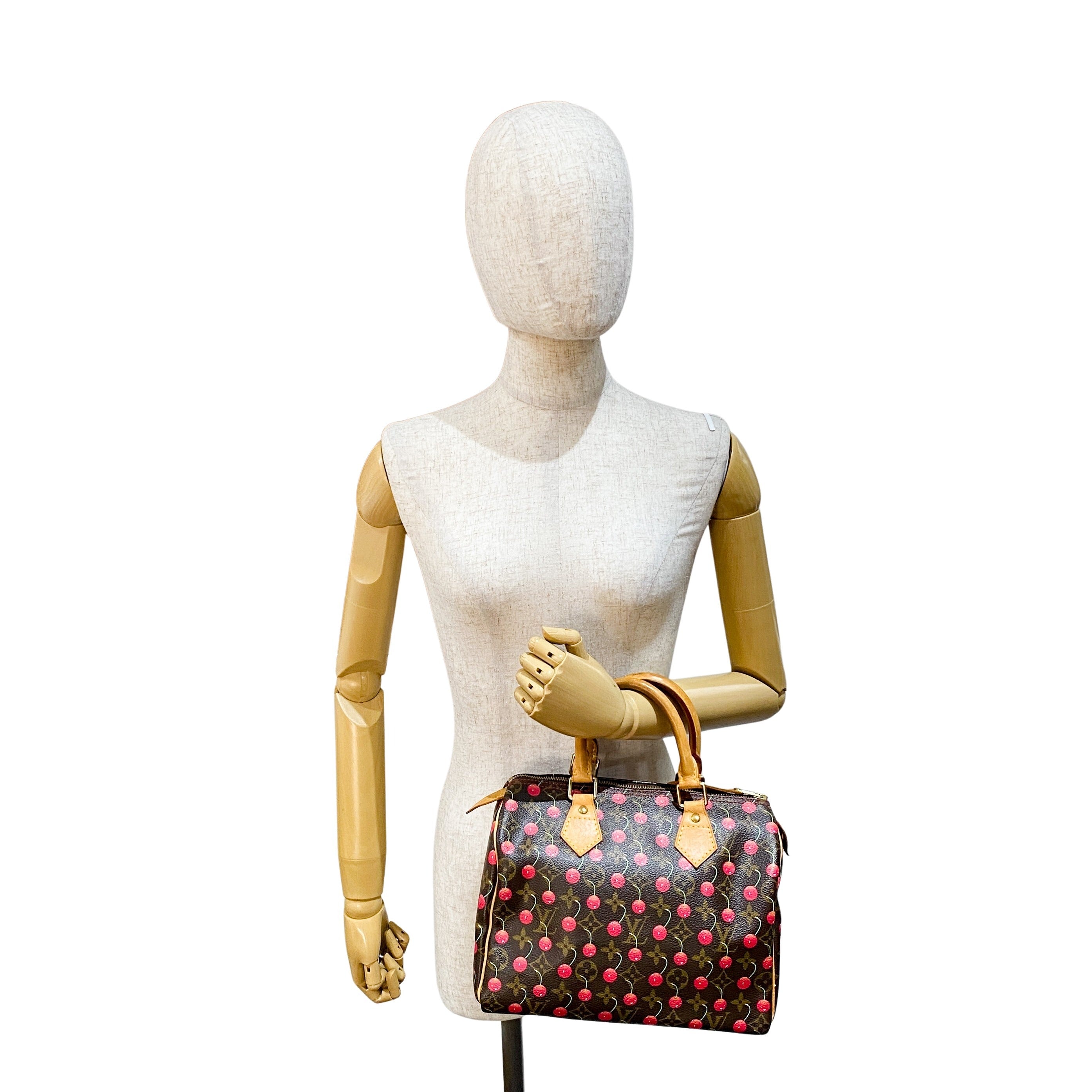 Louis Vuitton x Takashi Murakami Monogram Cherry Speedy 25 Handbag