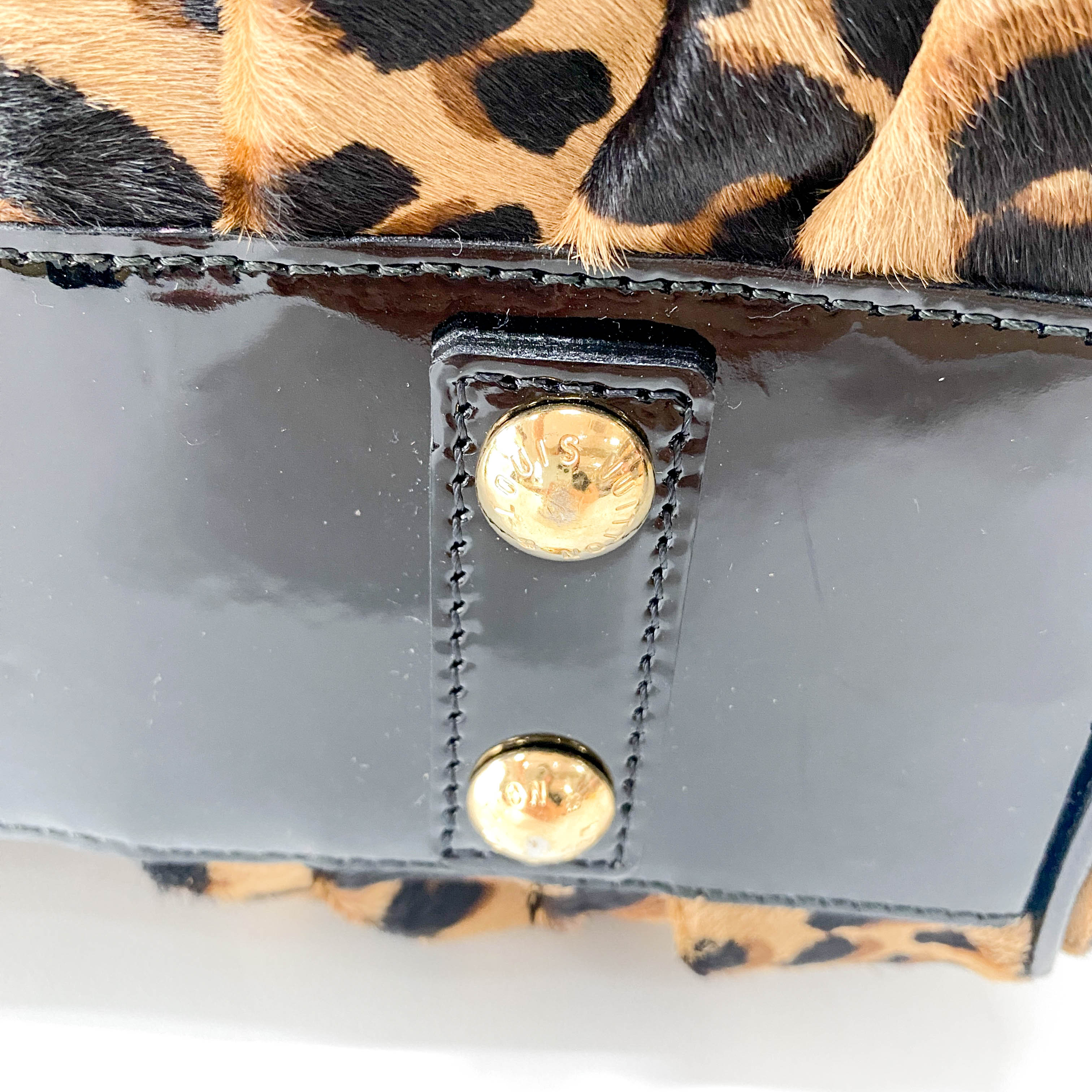 Adele Monogram Leather & Leopard Print Pony Hair Handle Bag