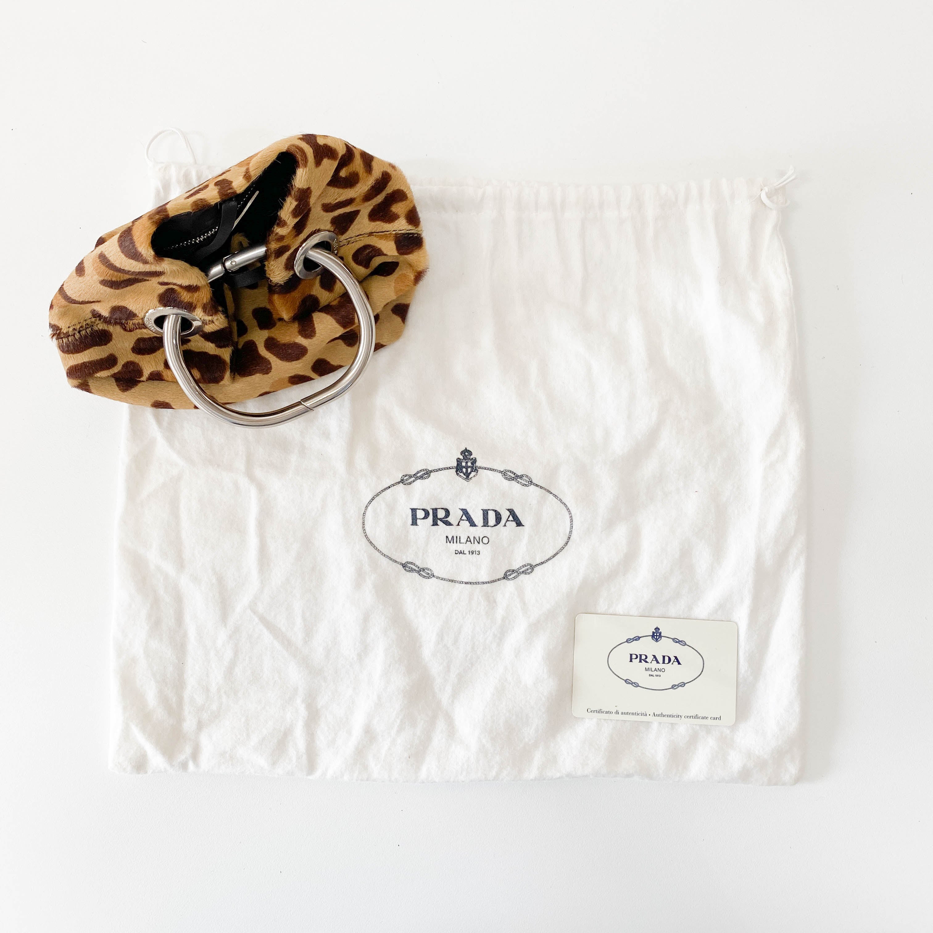 Leopard Pony Hair Metal Handle Mini Bag