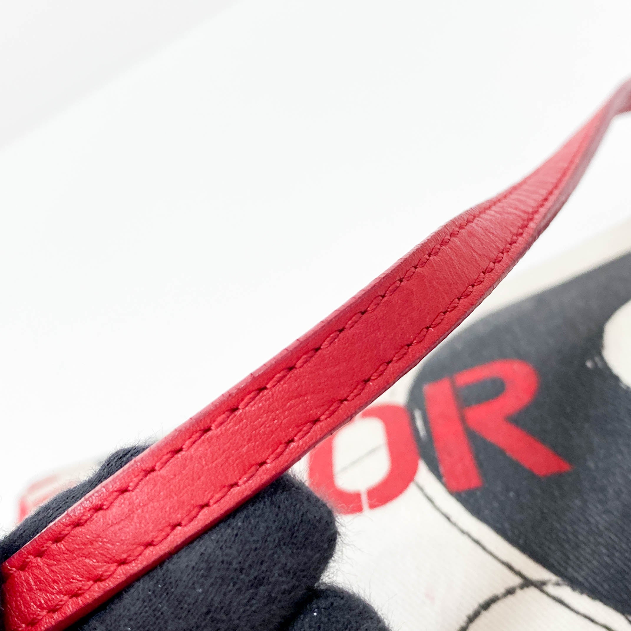 Punk Saddle Mini Neutral Canvas Shoulder Bag