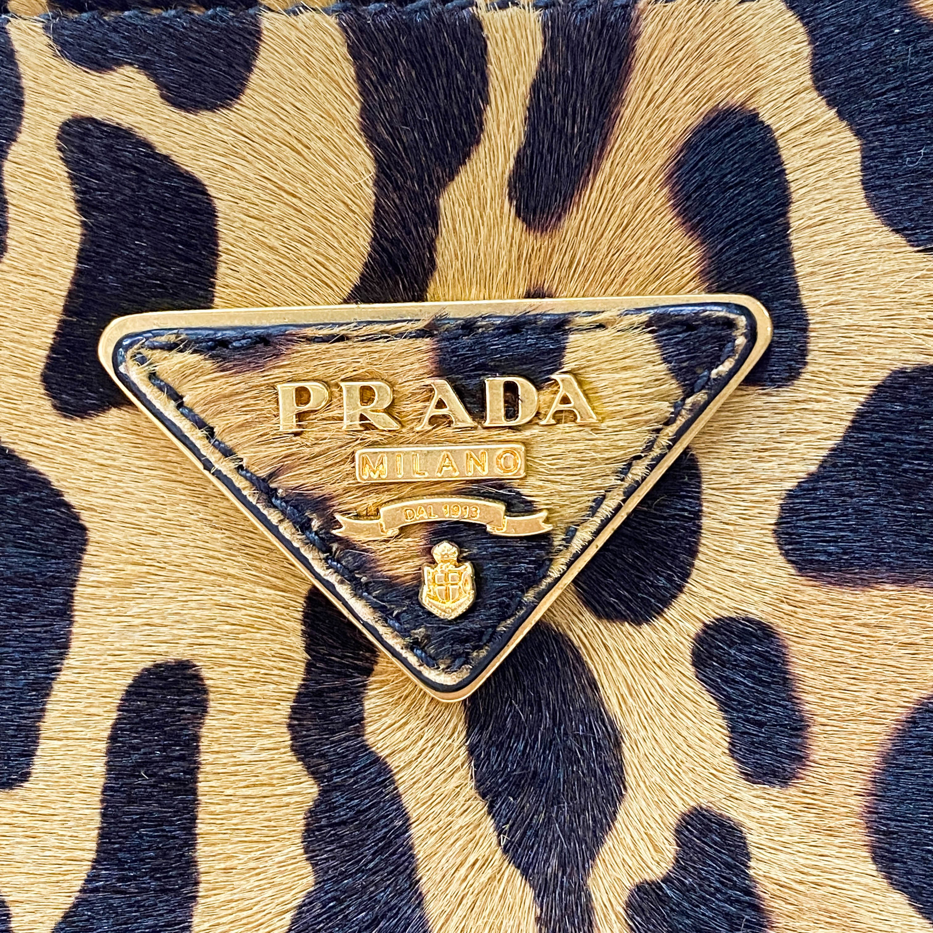 Leopard Print Pony Hair Top Handle Bag