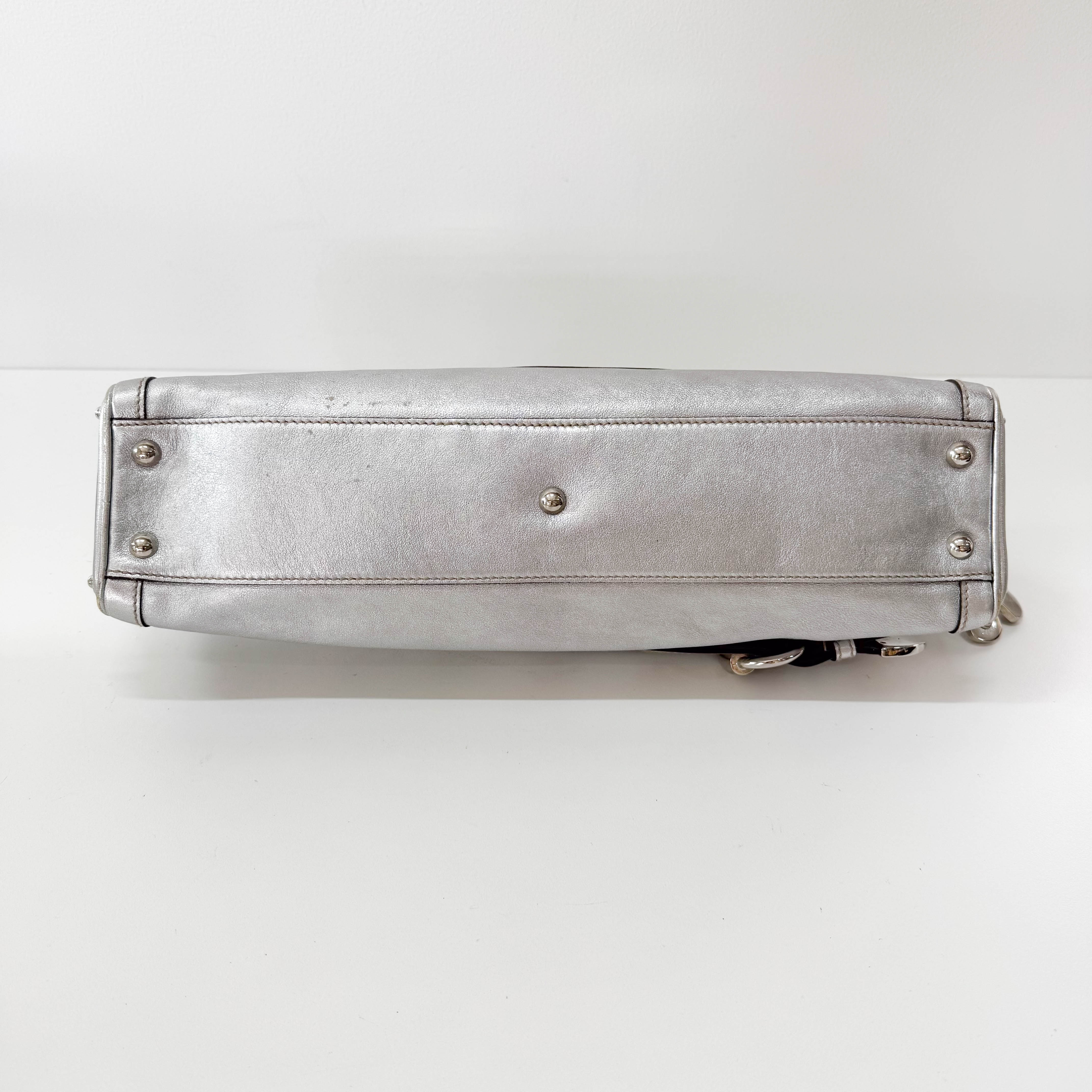 Metallic Silver Leather Bag