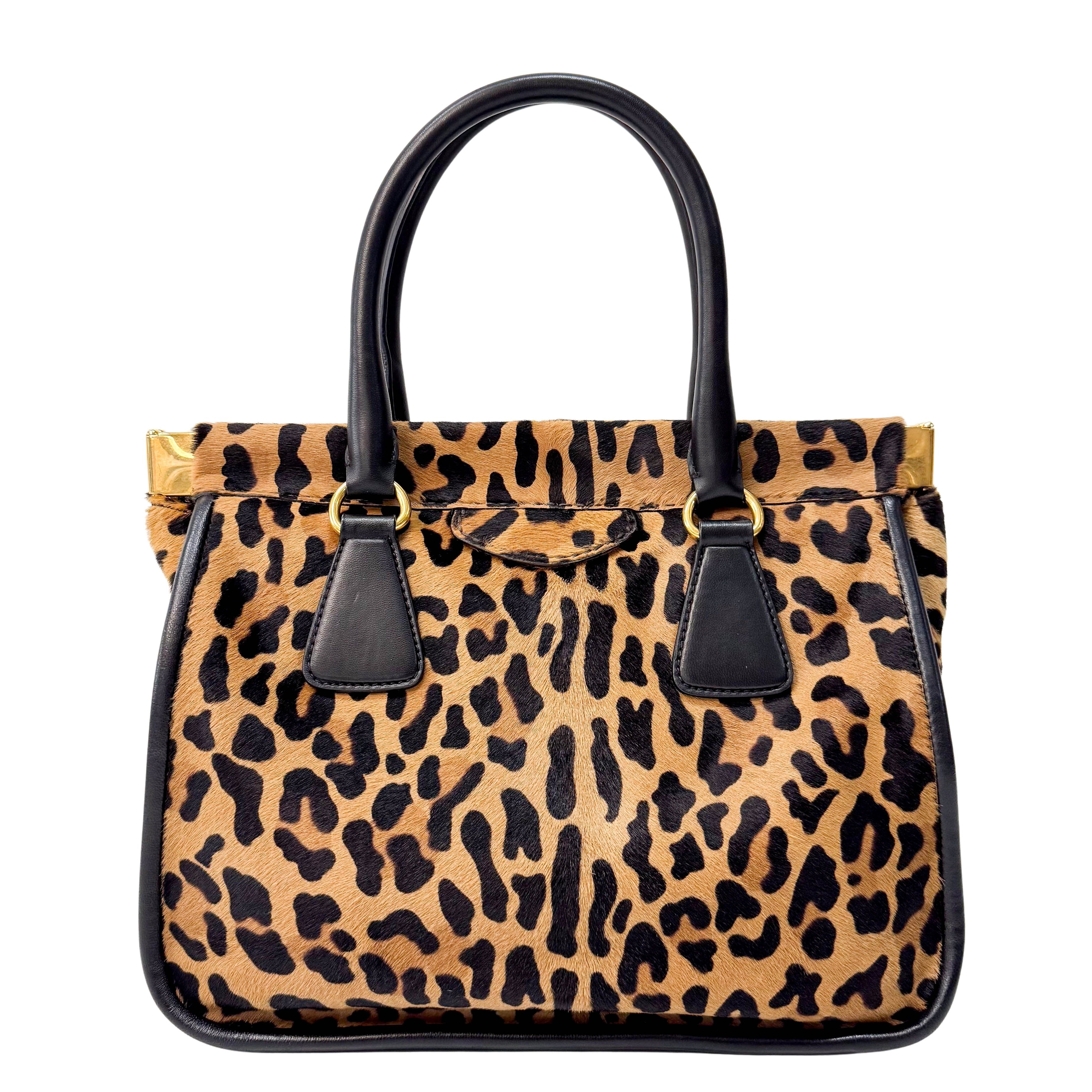 Leopard Print Bag