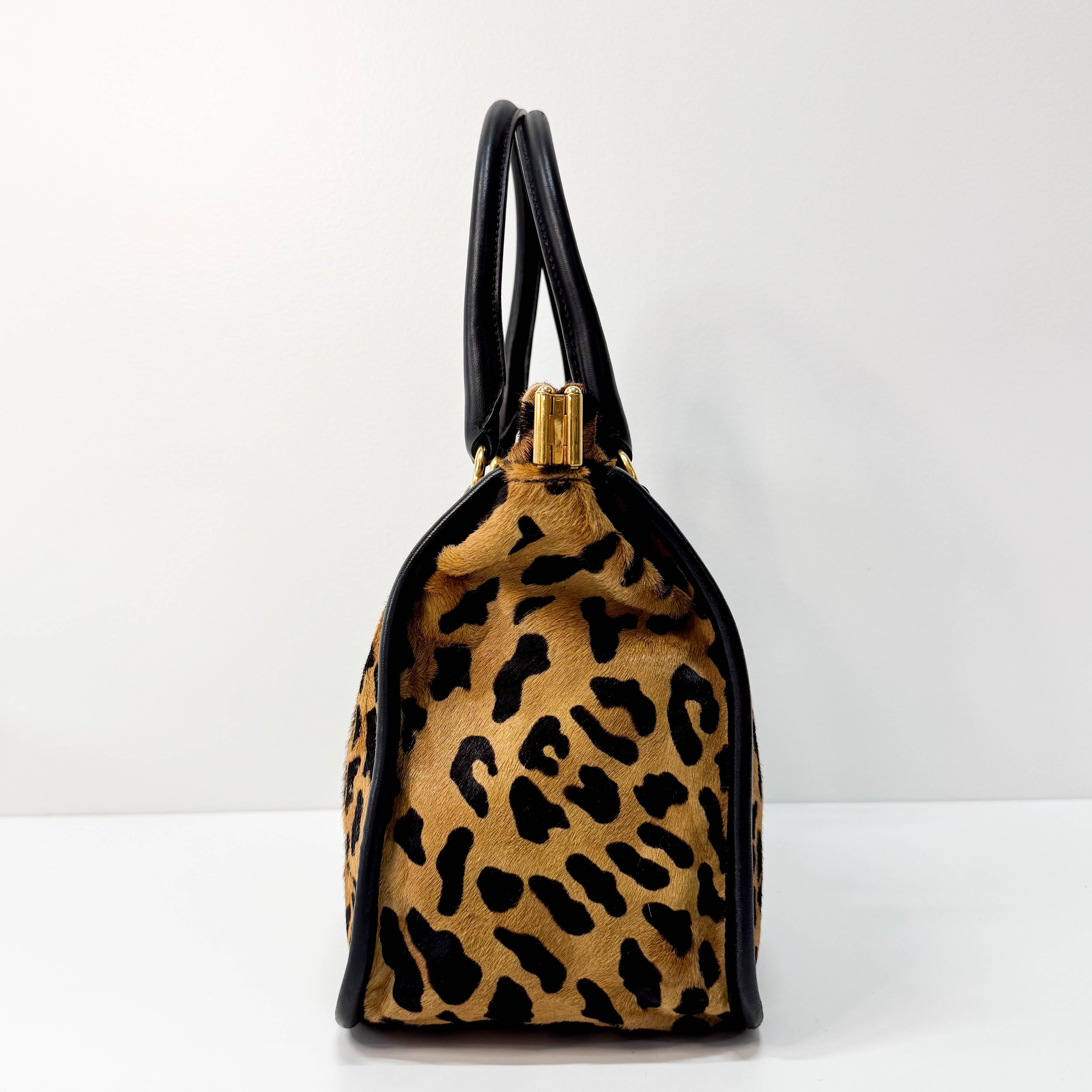 Leopard Print Bag
