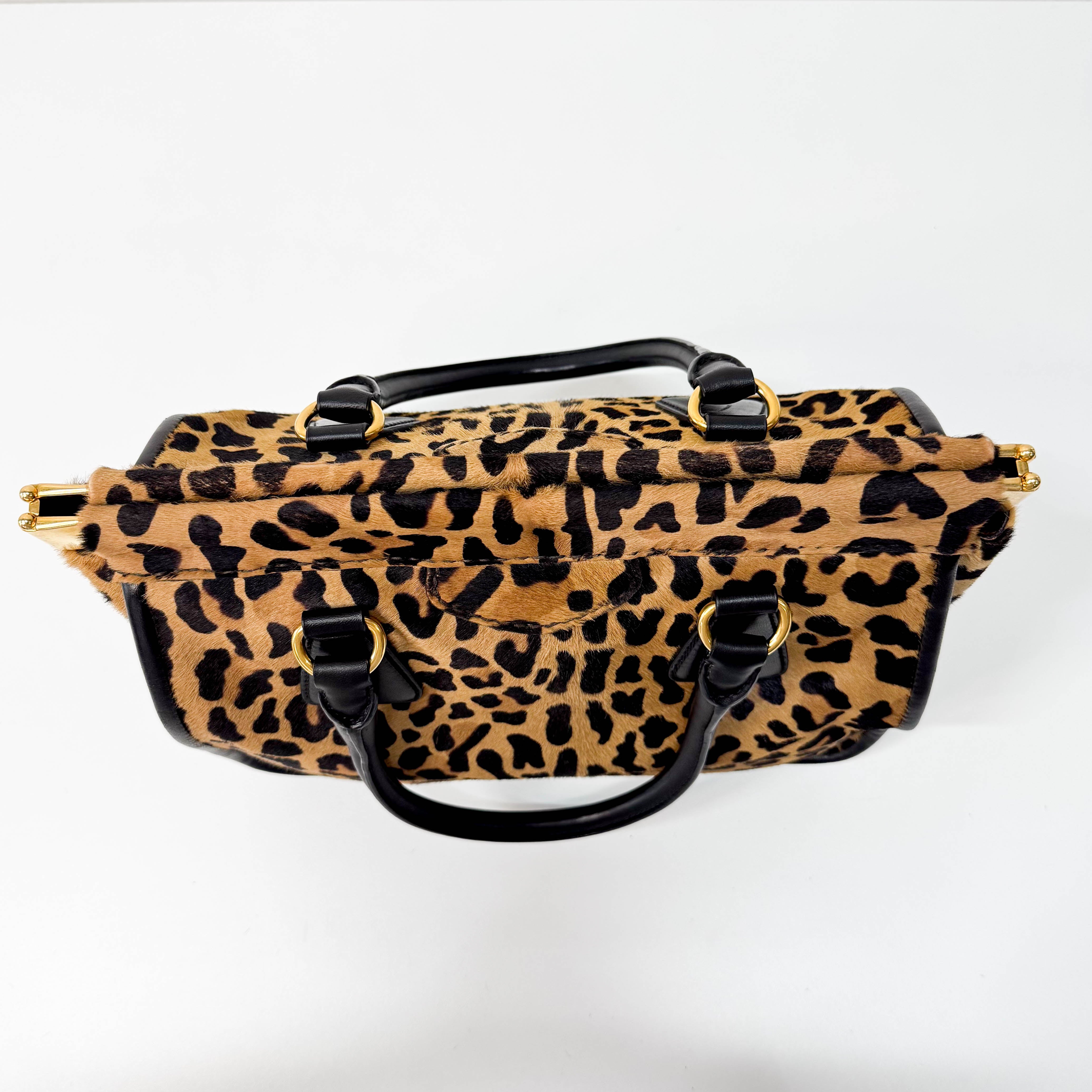 Leopard Print Bag